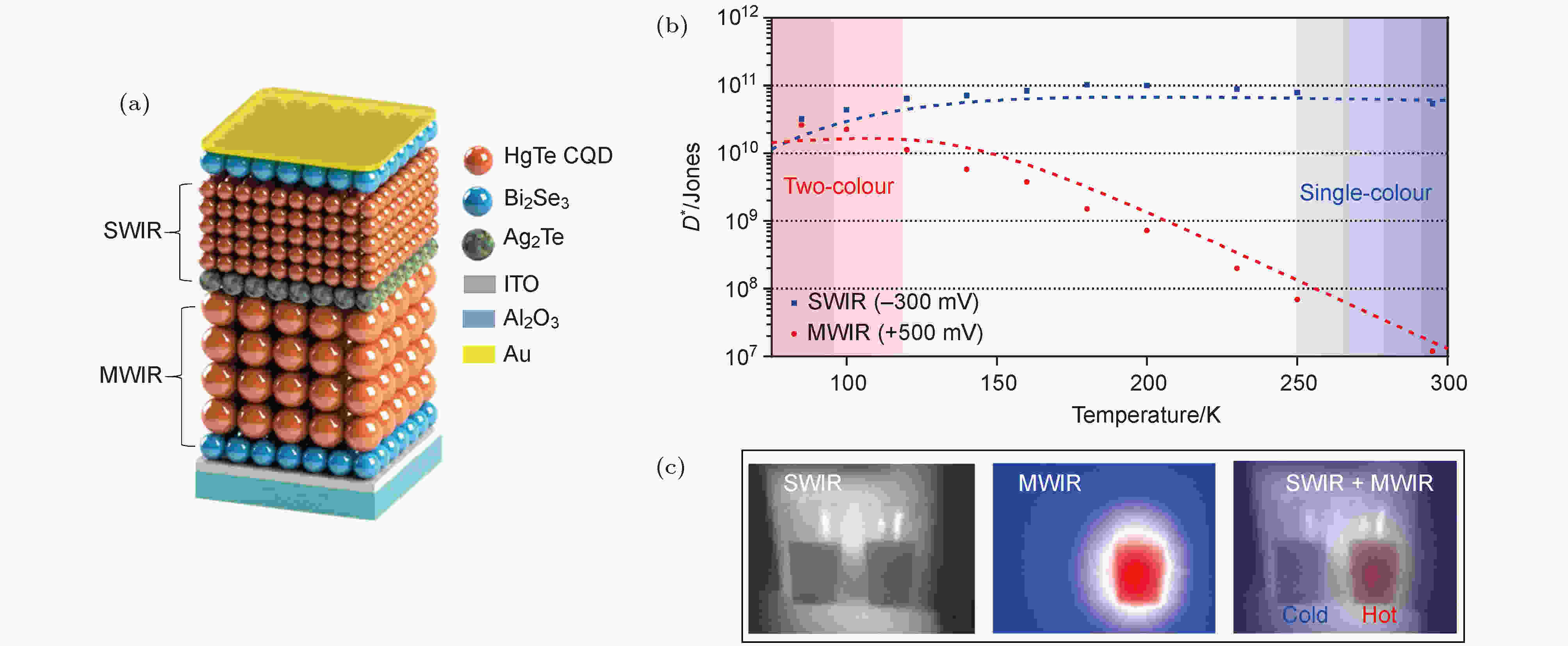 Recent progress on advanced infrared photodetectors