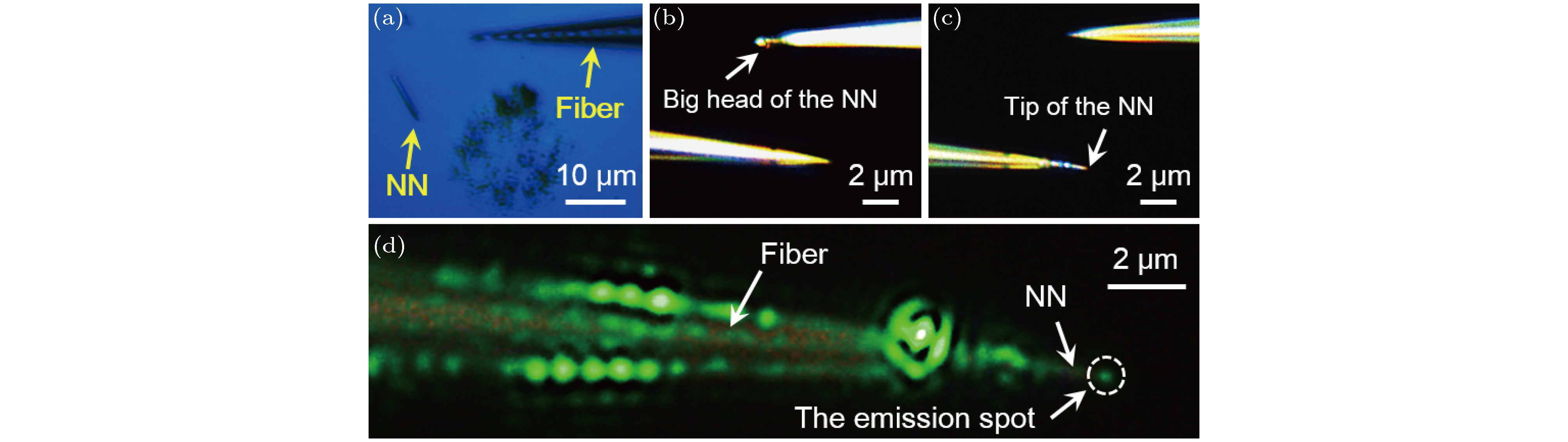 Research progress of plasmonic nanofocusing