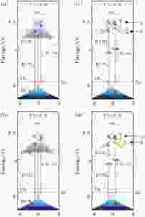 Ultrafast charge and spin dynamics on topological insulators