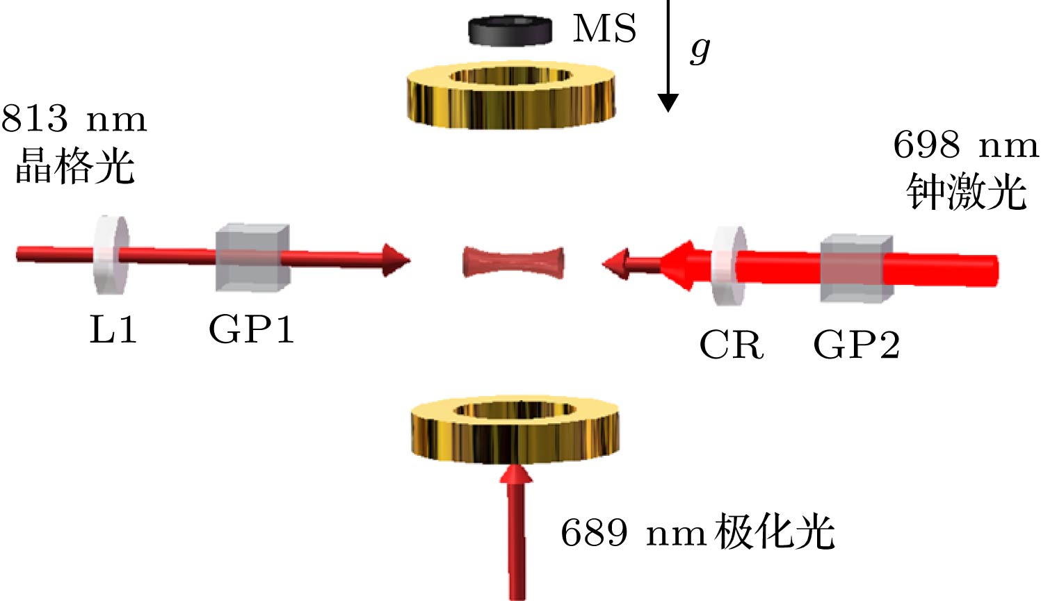 ぜい28サイズ Measurement of collision frequency shift in strontium optical