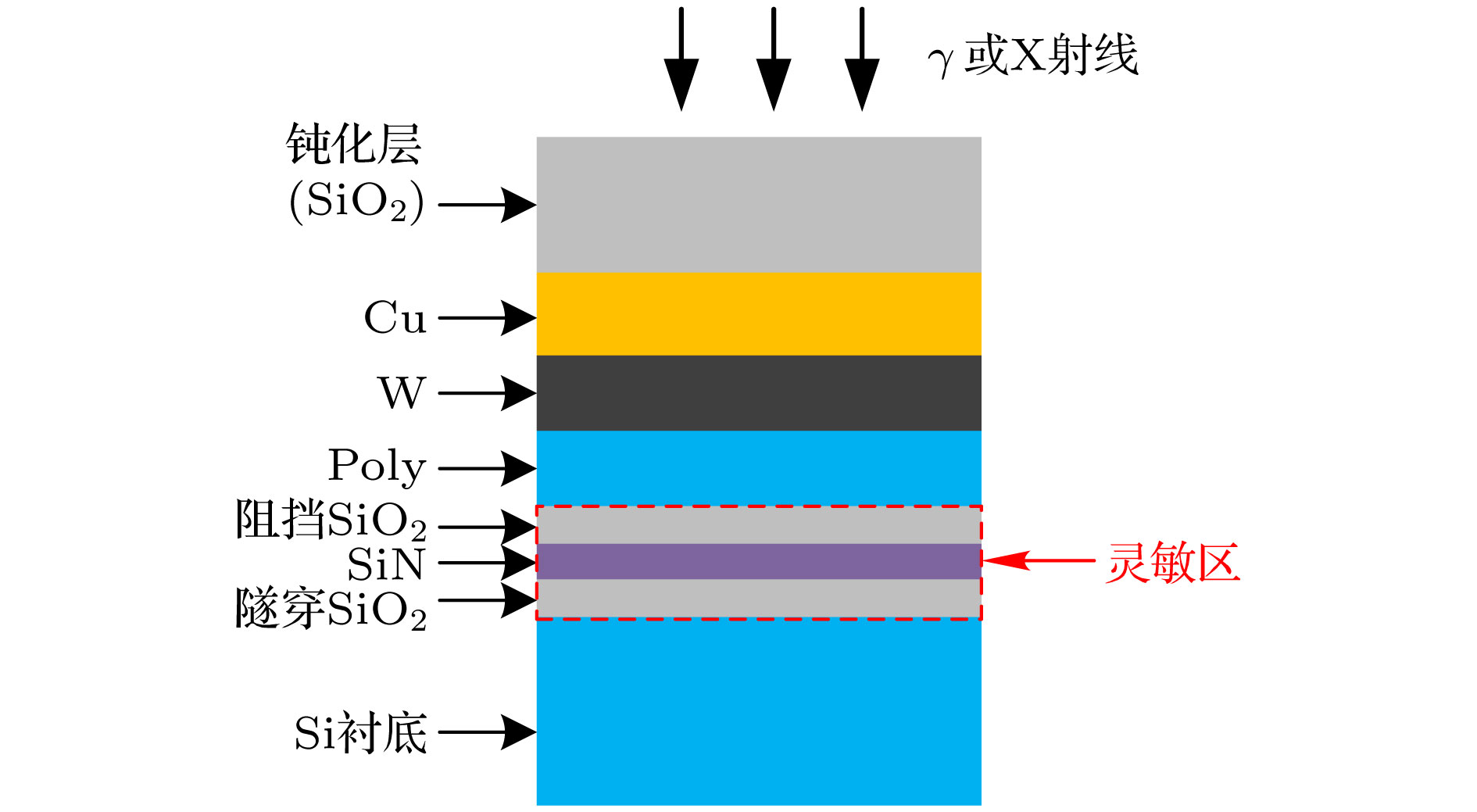Total ionizing dose effects of γ and X-rays on 55 nm silicon-oxide