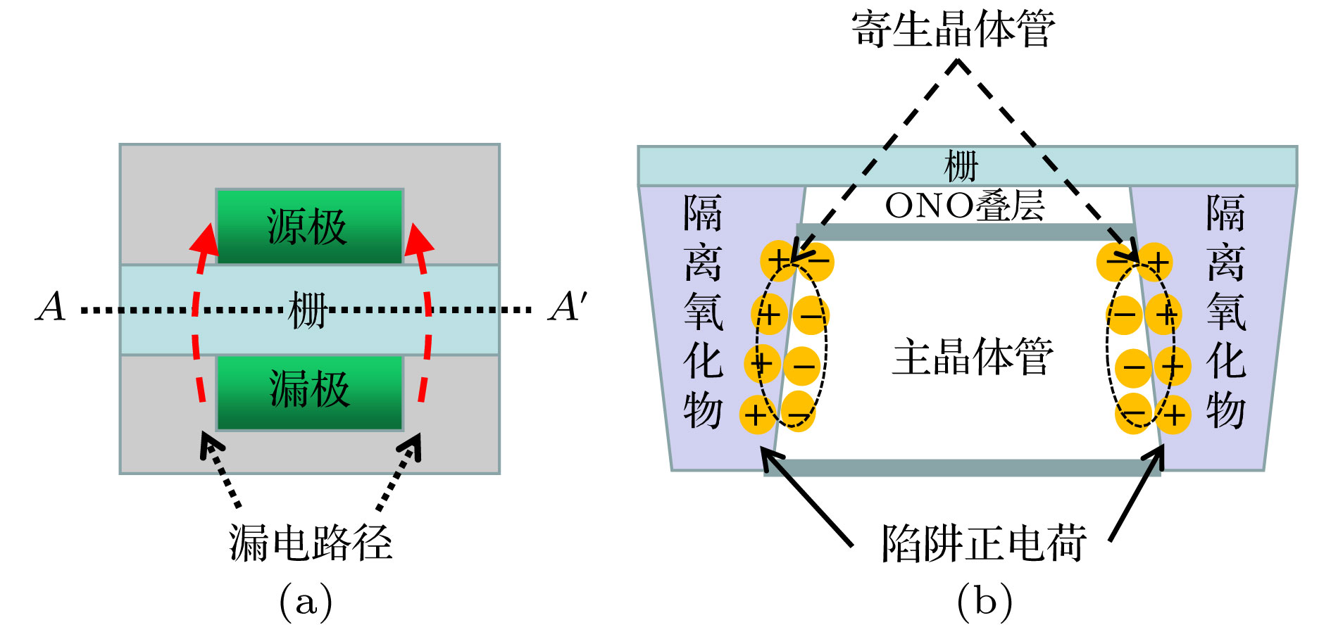 Total ionizing dose effects of γ and X-rays on 55 nm silicon-oxide