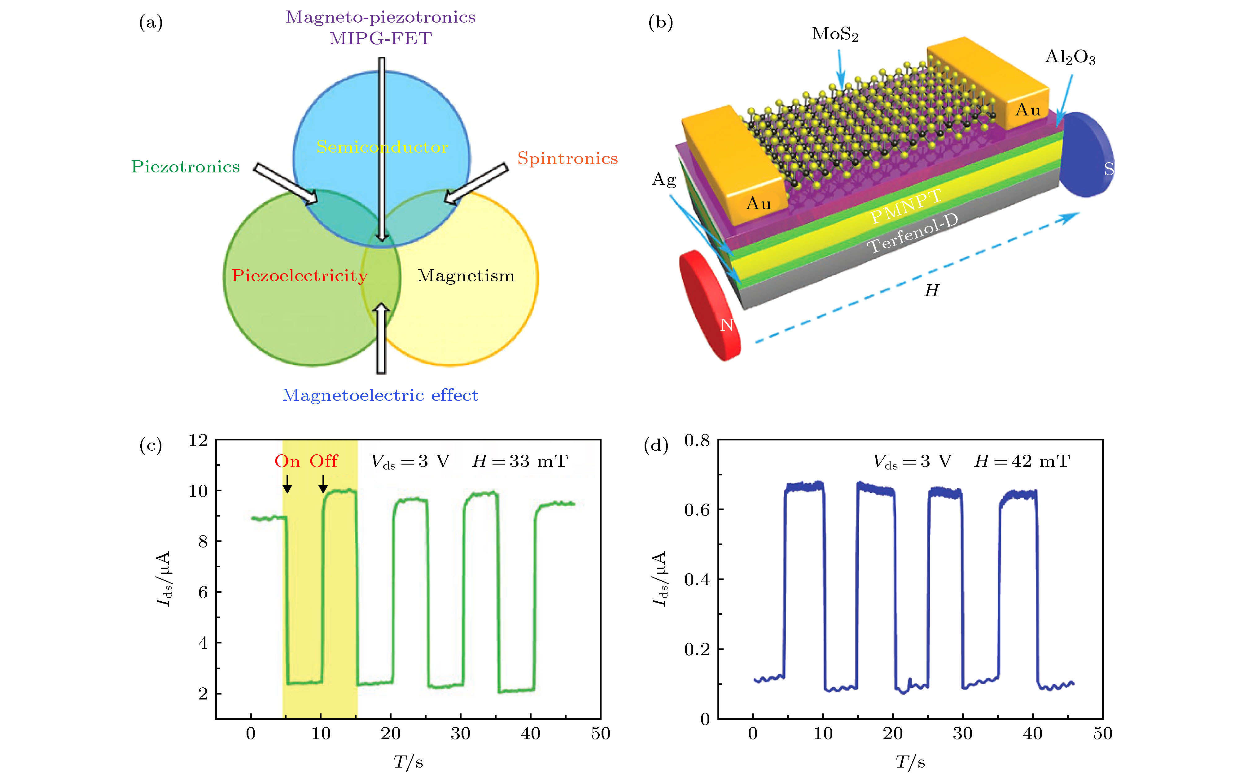 Research progress and device applications of multifunctional