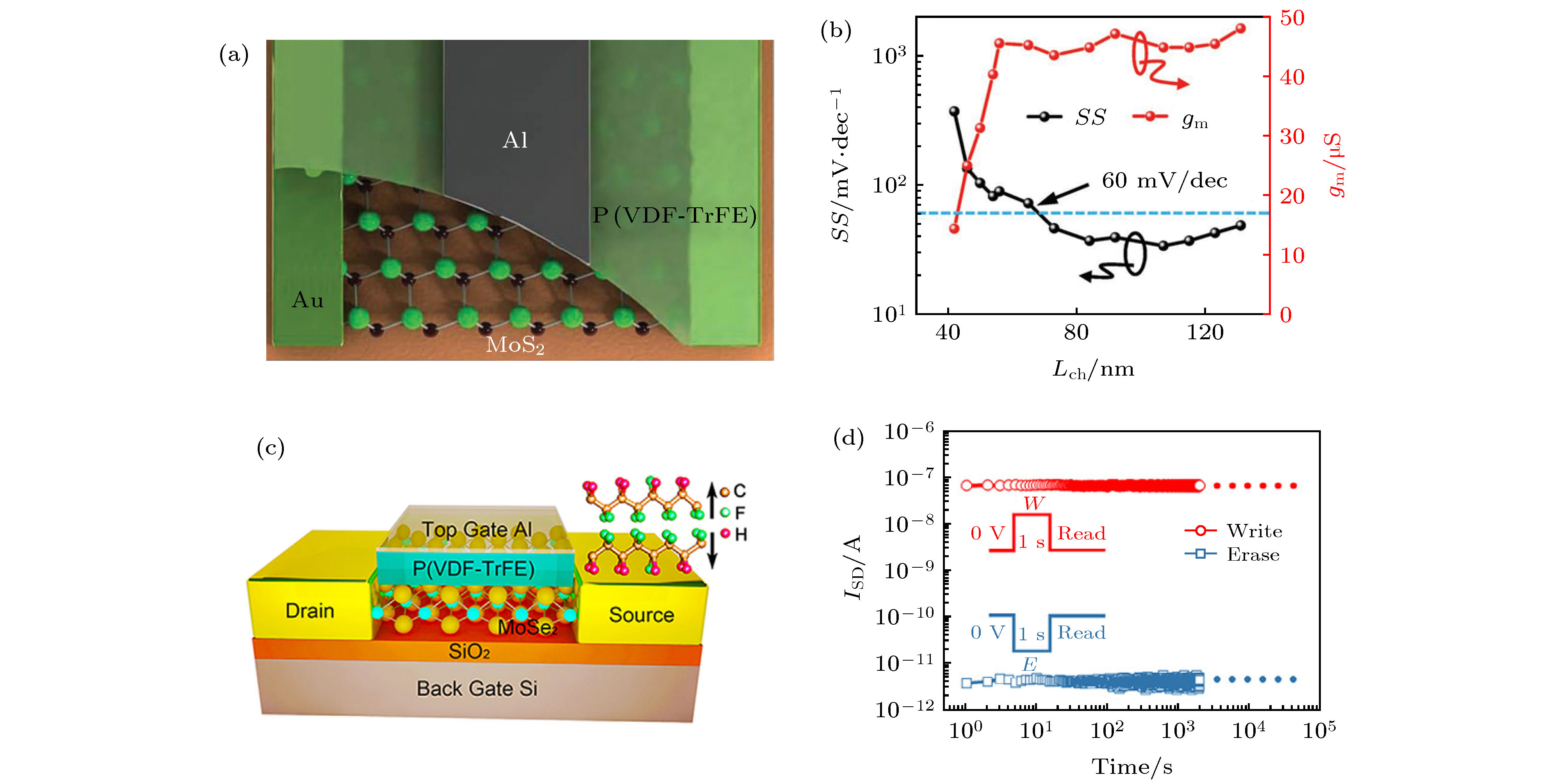 Research progress and device applications of multifunctional