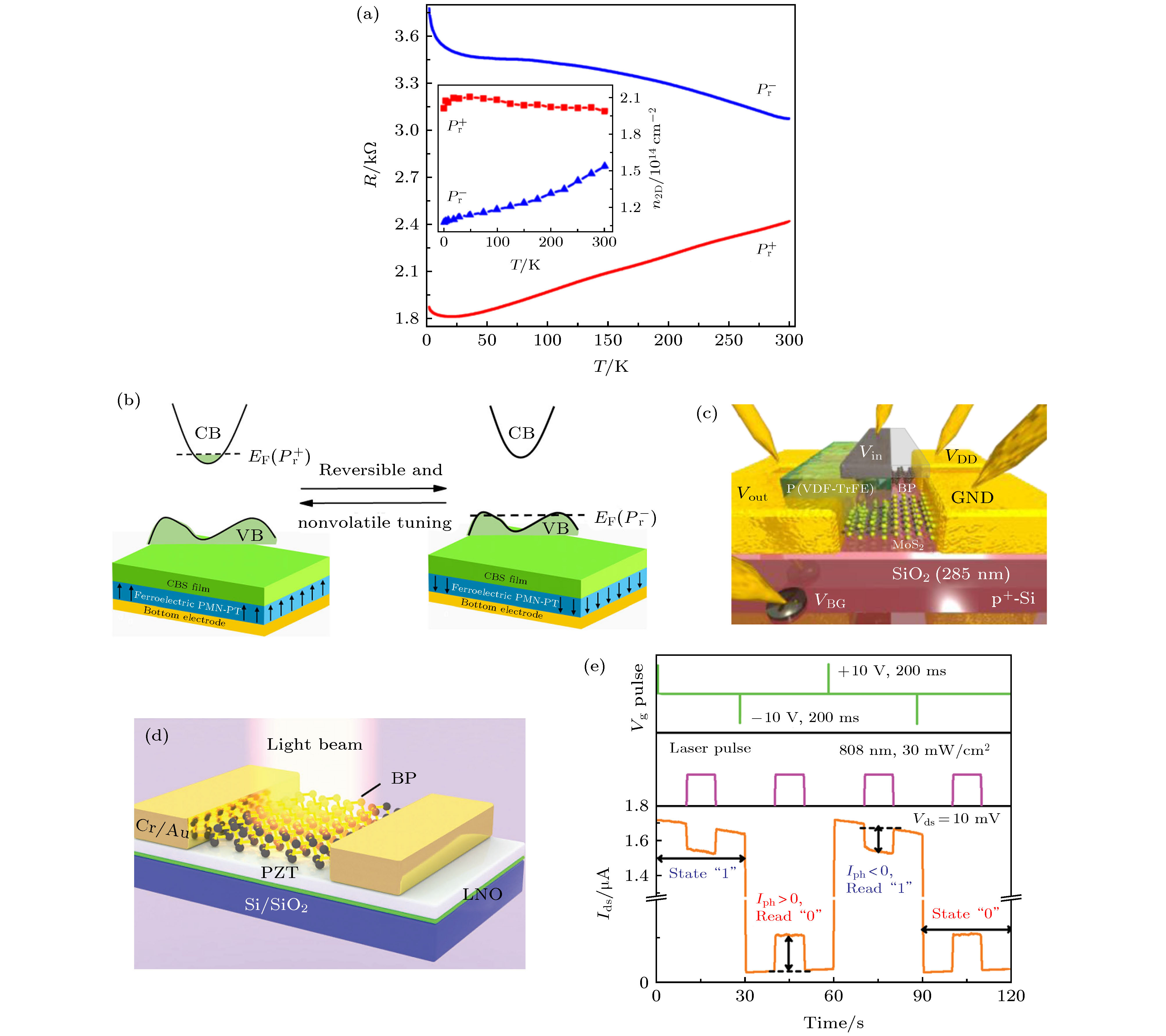 Research progress and device applications of multifunctional