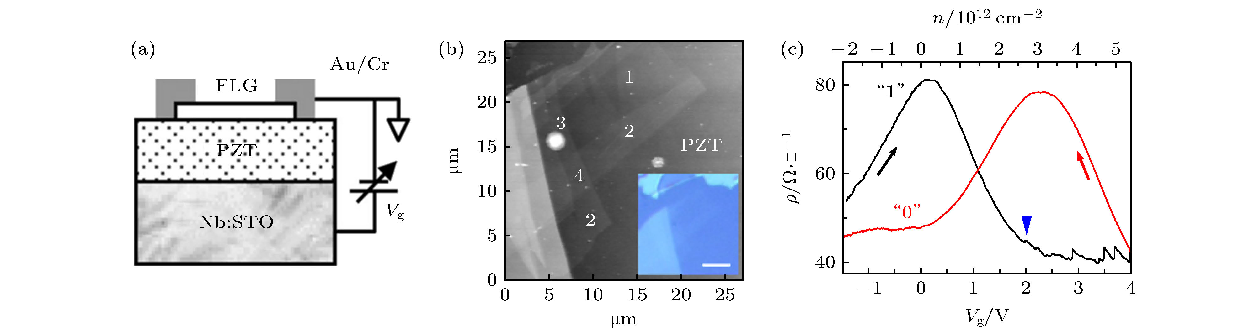Research progress and device applications of multifunctional