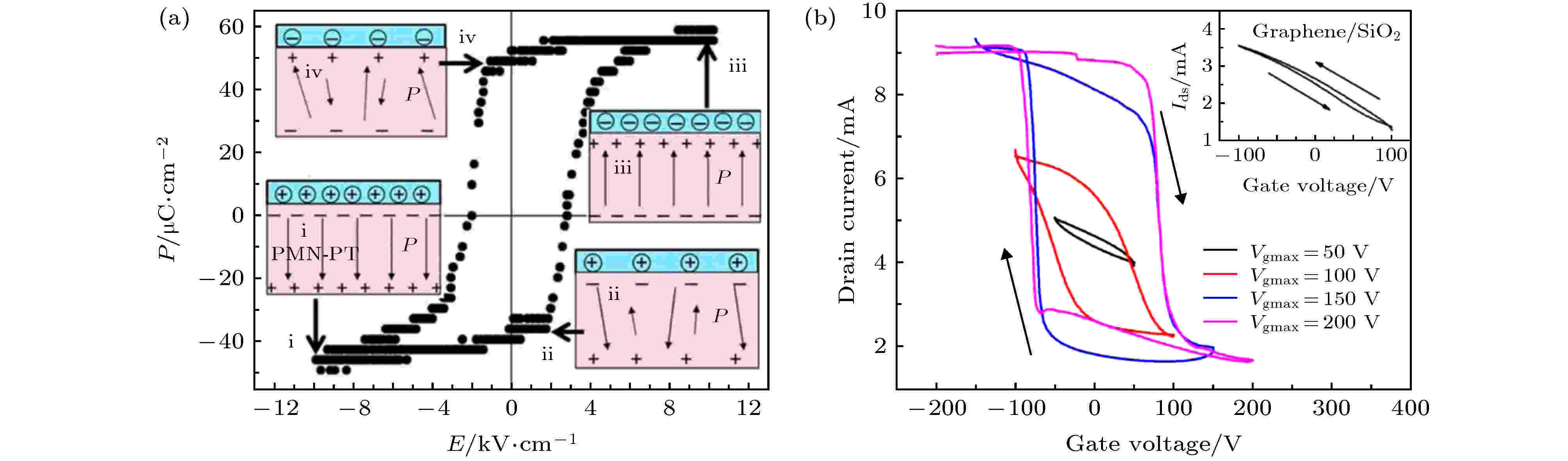 (a) Polarization-Electric field (<i>P-E</i>) hysteresis loop of PMN-PT substrate, and schematic diagrams of interface charge effects in graphene/PMN-PT FeFET<sup>[<span class=