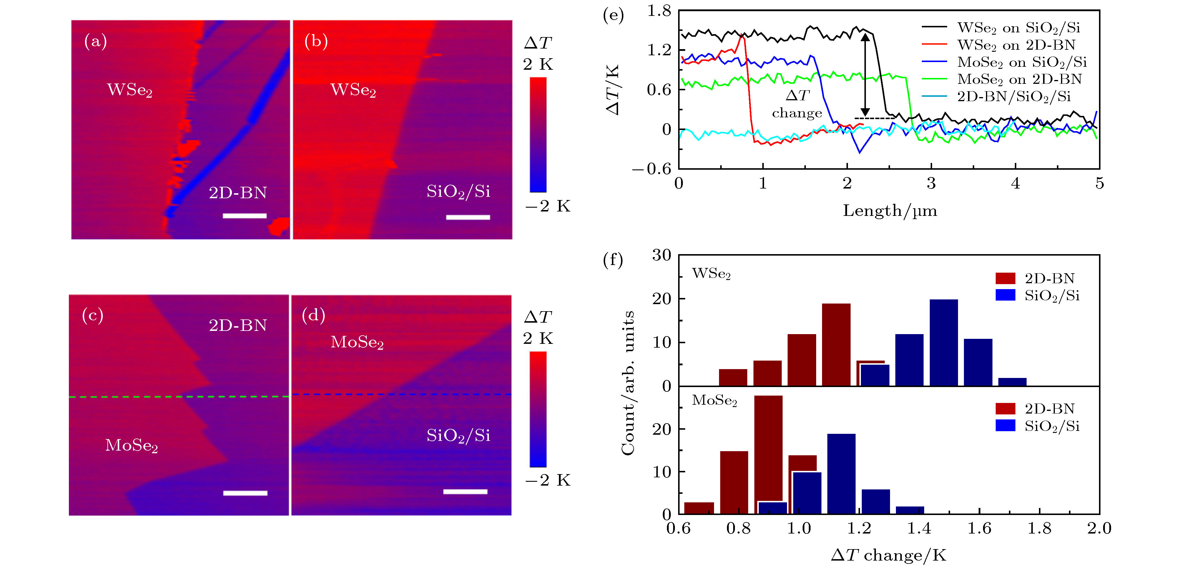 Recent progresses of thermal conduction in two-dimensional materials