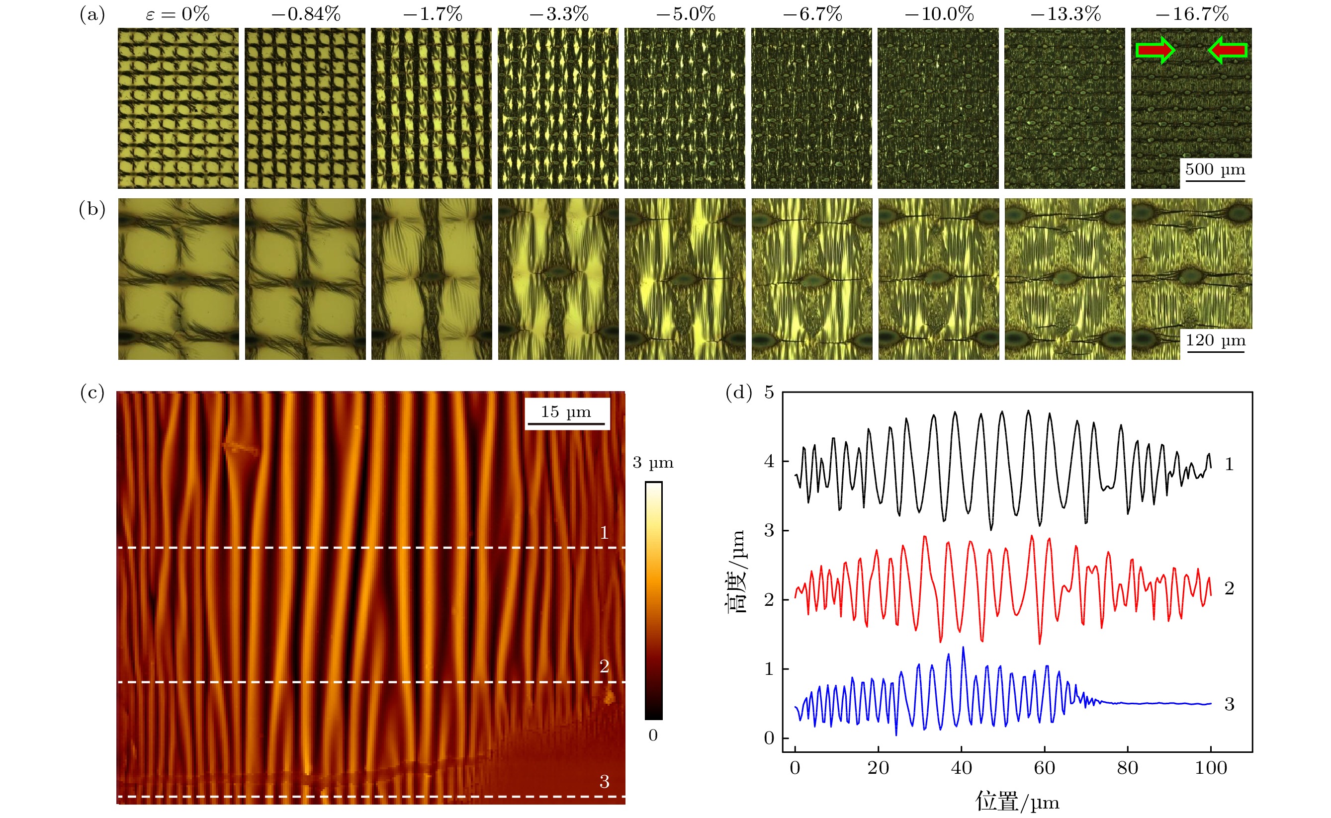 サイズ確認用 Strain effects of periodic thickness-gradient films on flexible