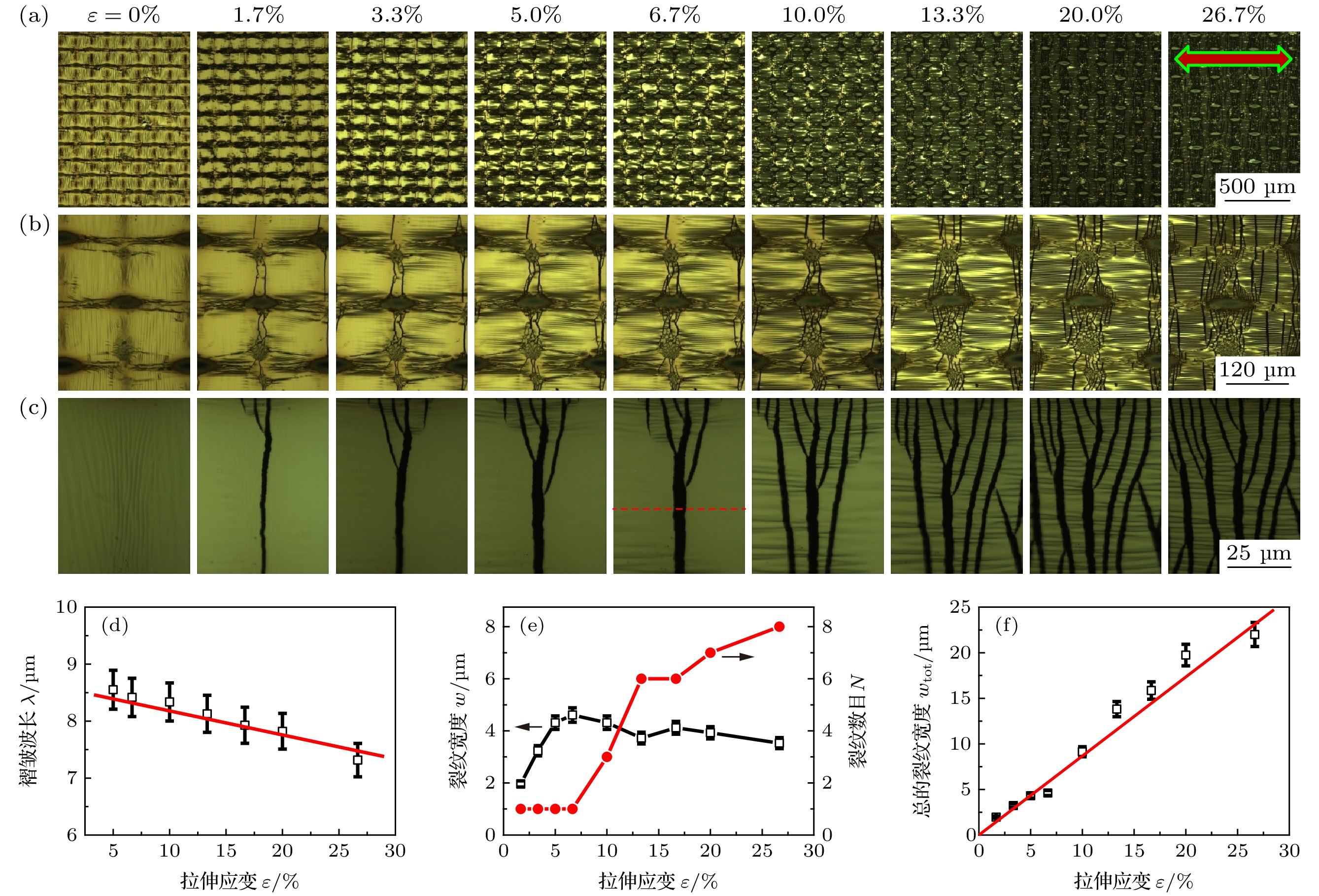 サイズ確認用 Strain effects of periodic thickness-gradient films on flexible