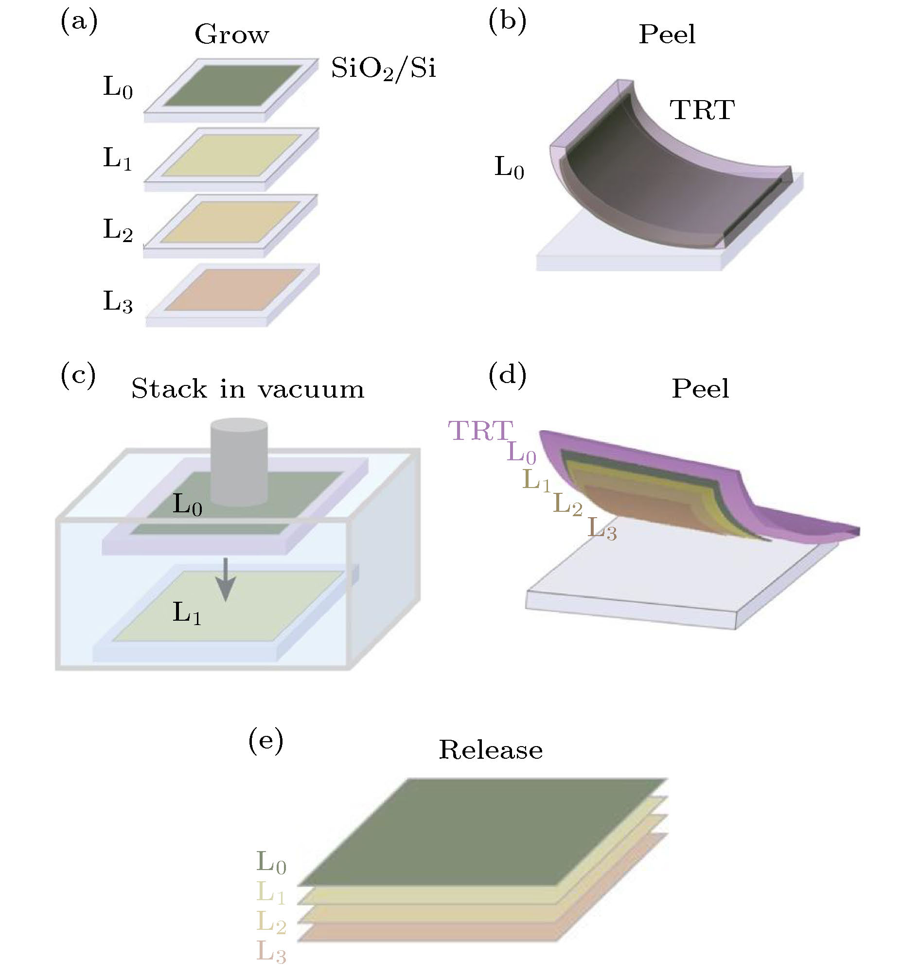 Methods of transferring two-dimensional materials