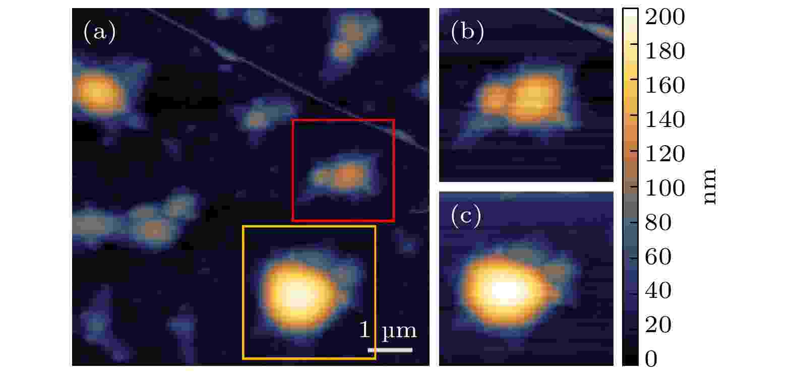 Typical AFM images of h-BN bubbles: (a) Topography of h-BN bubbles in different size and distribution density. Scale bar, 1 μm; (b), (c) AFM images taken from the red and orange box in panel (a) respectively. The scale of height sits on the right.