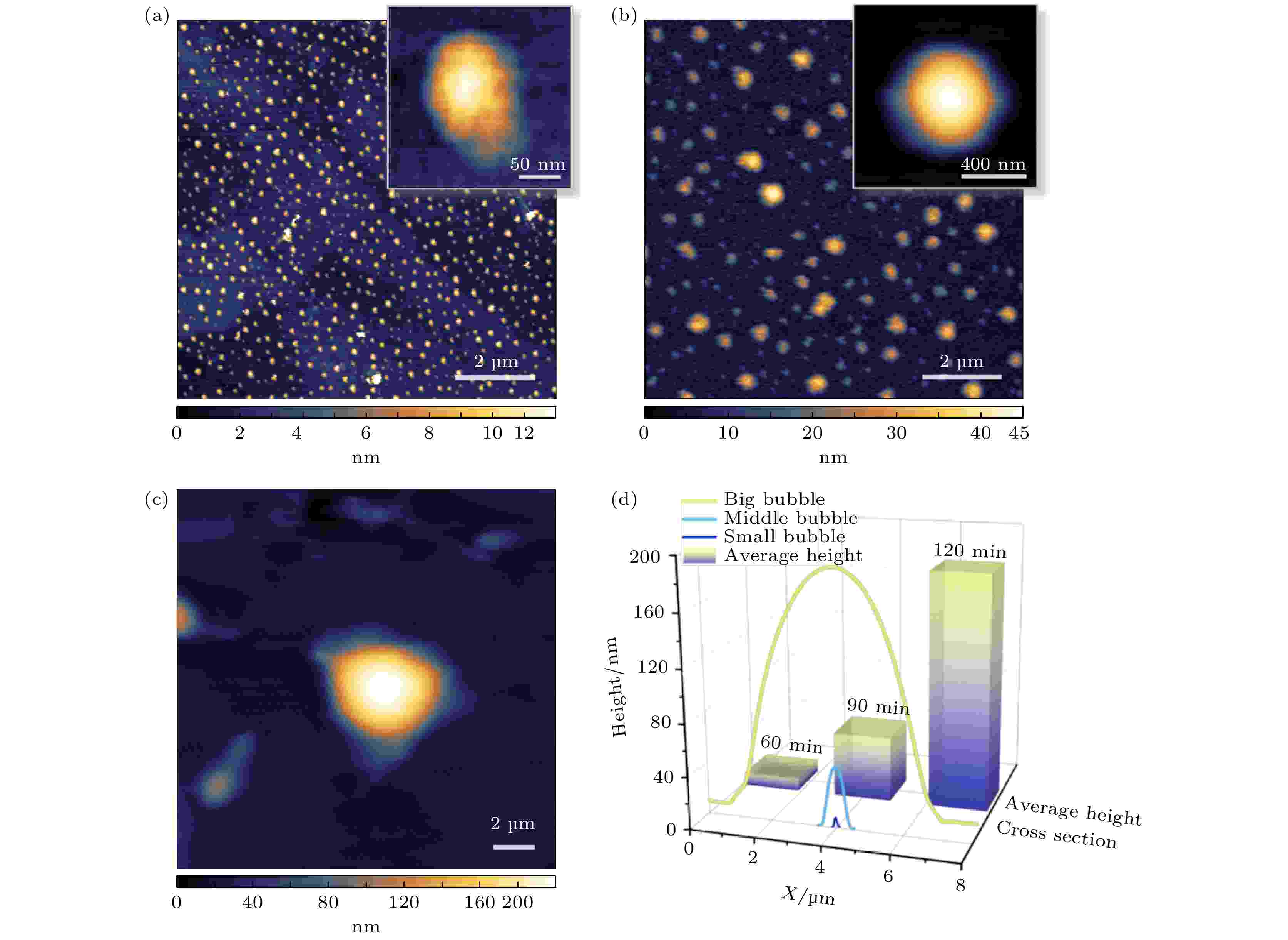 Distribution of h-BN bubbles after hydrogen plasma treatment for different treatment duration. (a)−(c) AFM images of the h-BN bubbles after treated for 60, 90 and 120 min. Scale bar: 2 μm. The inserts in (a) and (b) are the AFM topography images of a single bubble corresponding to the processing time. The scale bar is 50 nm for insert in (a) and 400 nm for the insert in (b). (d) Cross-sectional profiles of bubbles in inserts of panels (a) and (b) and panel (c). The histogram part is the average bubble height under different processing times according to statistics.