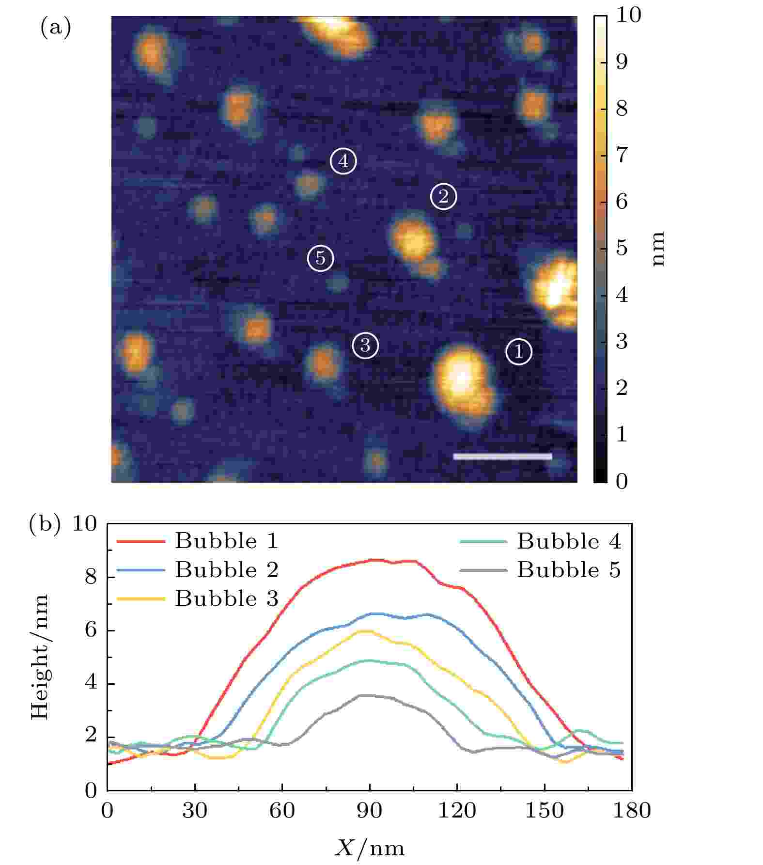 Small size bubbles obtained under short-time hydrogen plasma treatment: (a) The distribution of small size bubbles, the size scale is 150 nm; (b) the cross-sectional profile view of the small bubbles marked with numbers in panel (a).
