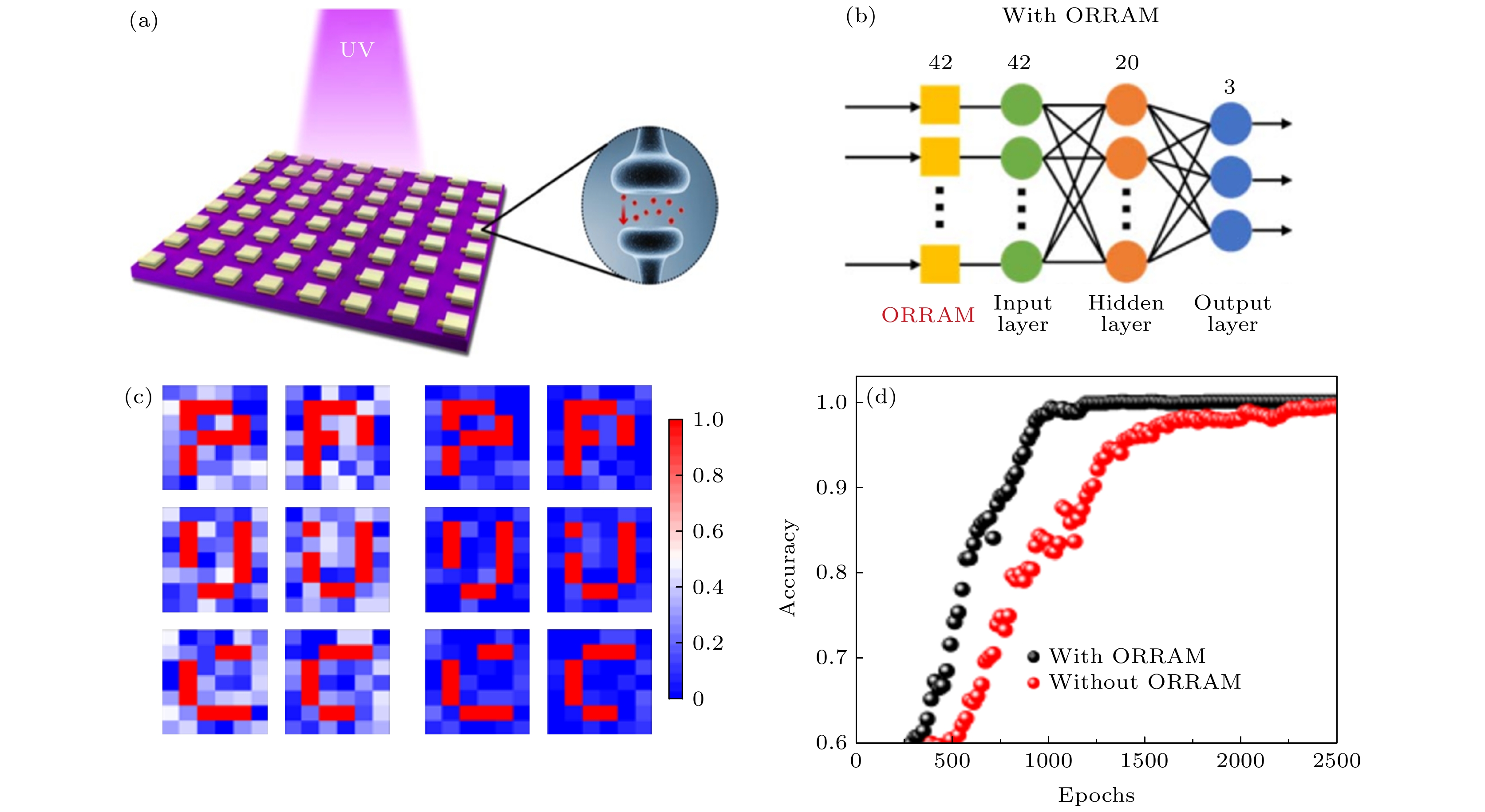 Recent advances in synthesis and memory computing of large-area α-MoO3