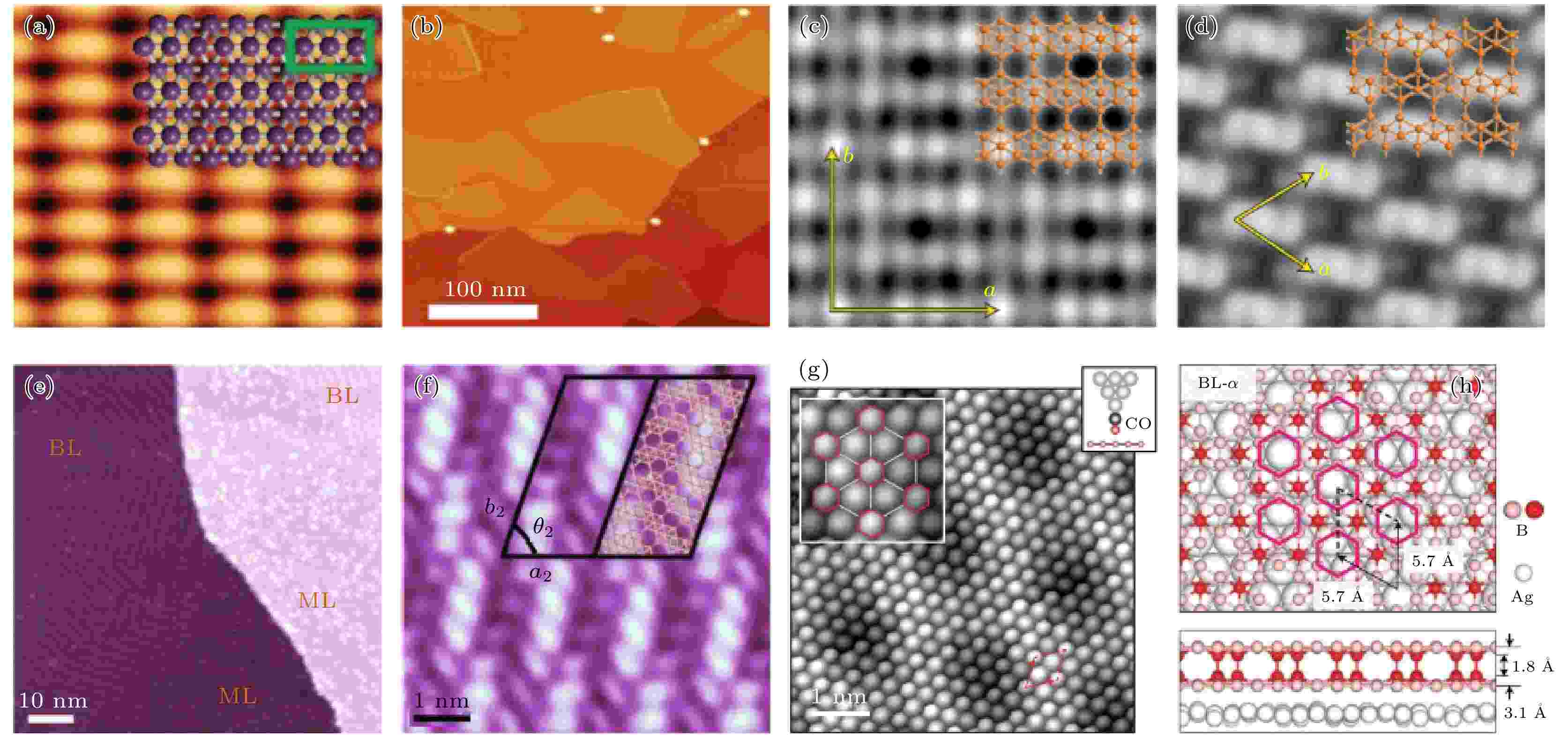 對論 Novel two-dimensional materials and their heterostructures