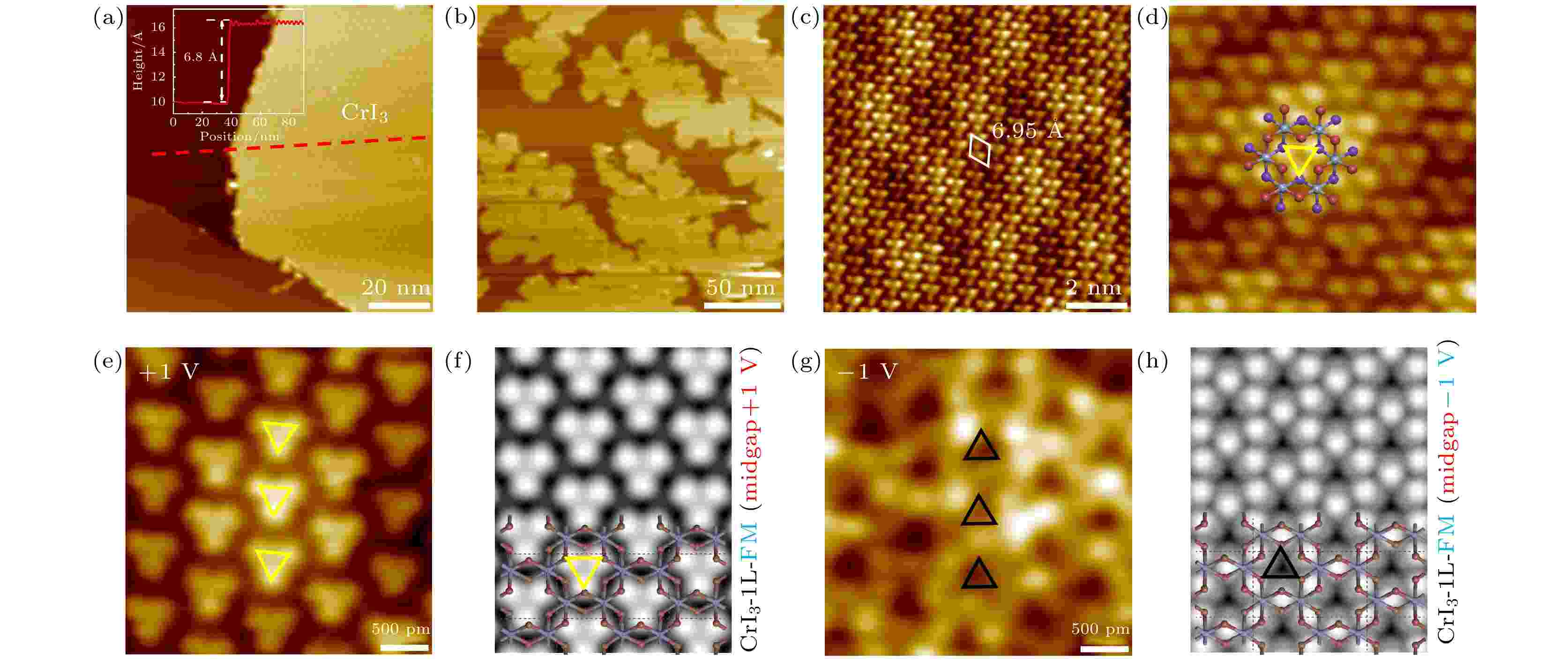 その他 siba Two-dimensional magnetic transition metal halides: molecular