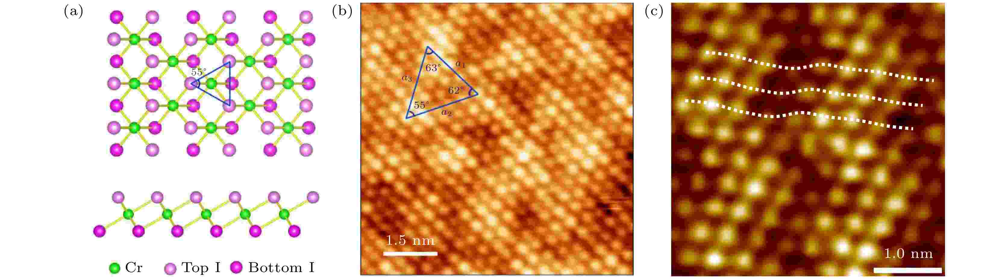 Two-dimensional magnetic transition metal halides: molecular beam