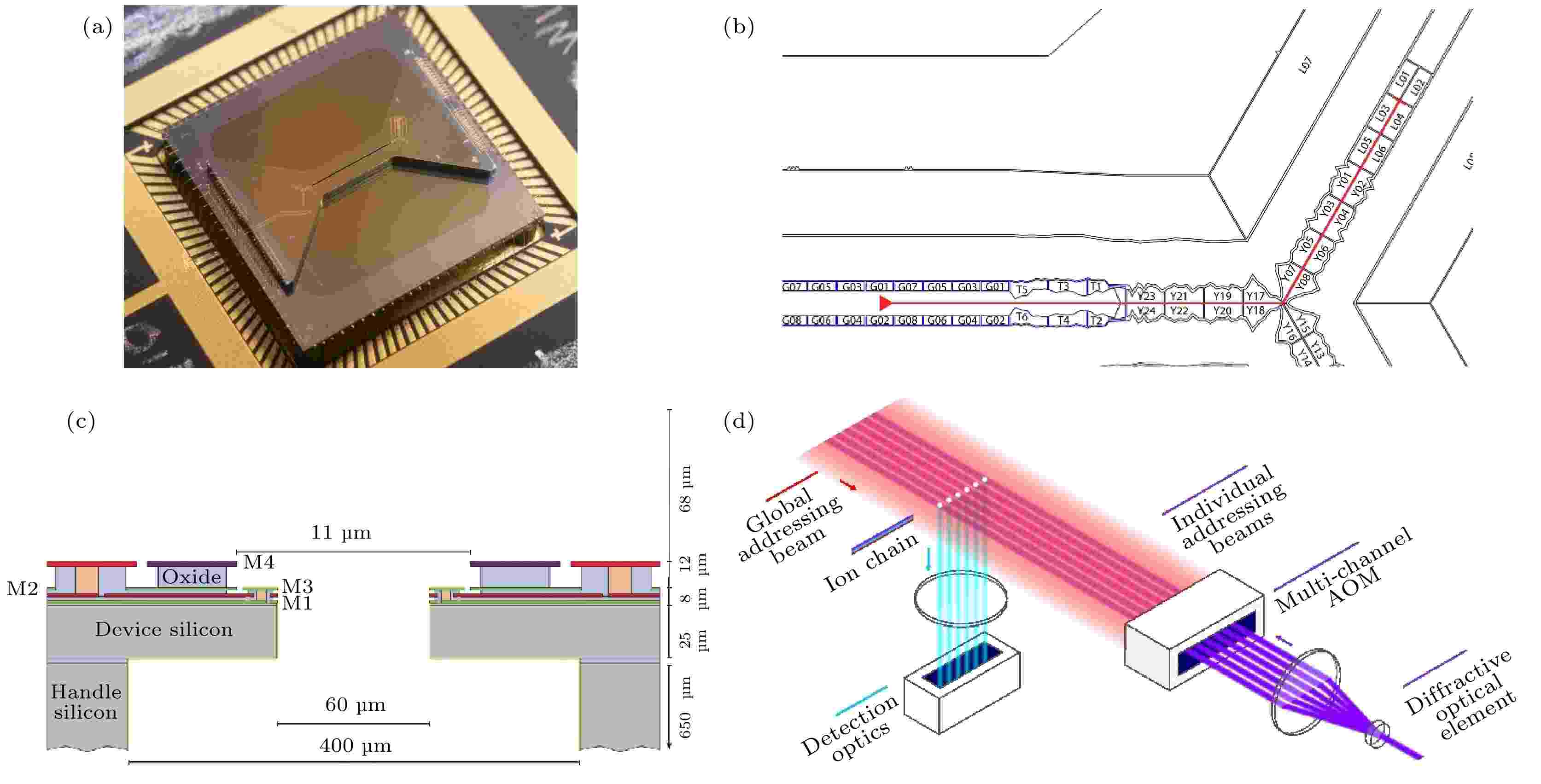 春先取りの study the in Advances of quantum in structures trap ion 邦楽