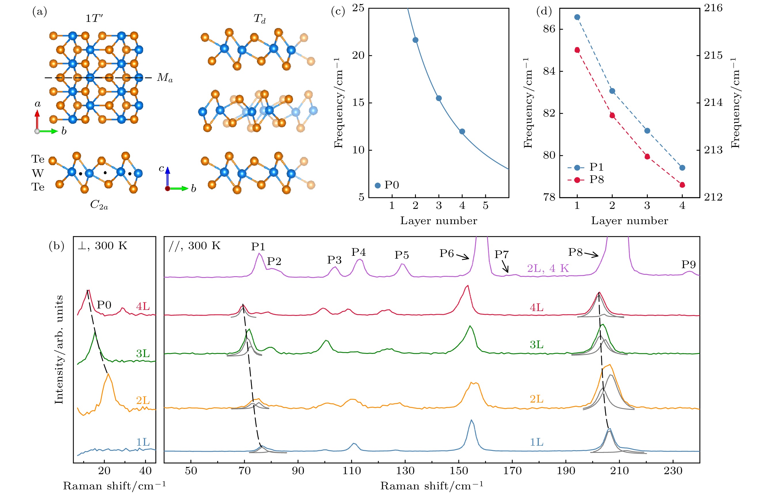Optical study on crystal symmetry of two-dimensional WTe2