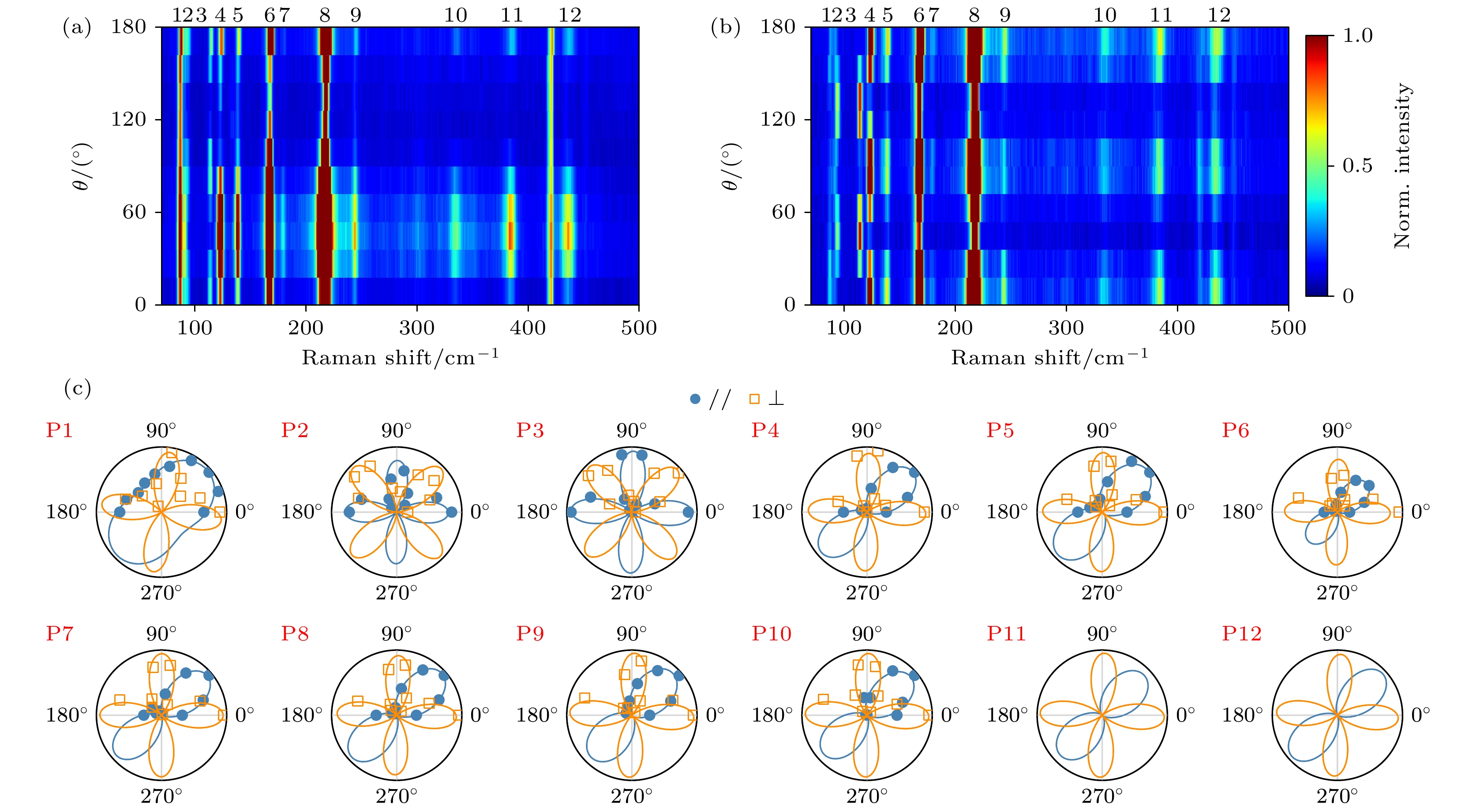 Optical study on crystal symmetry of two-dimensional WTe2