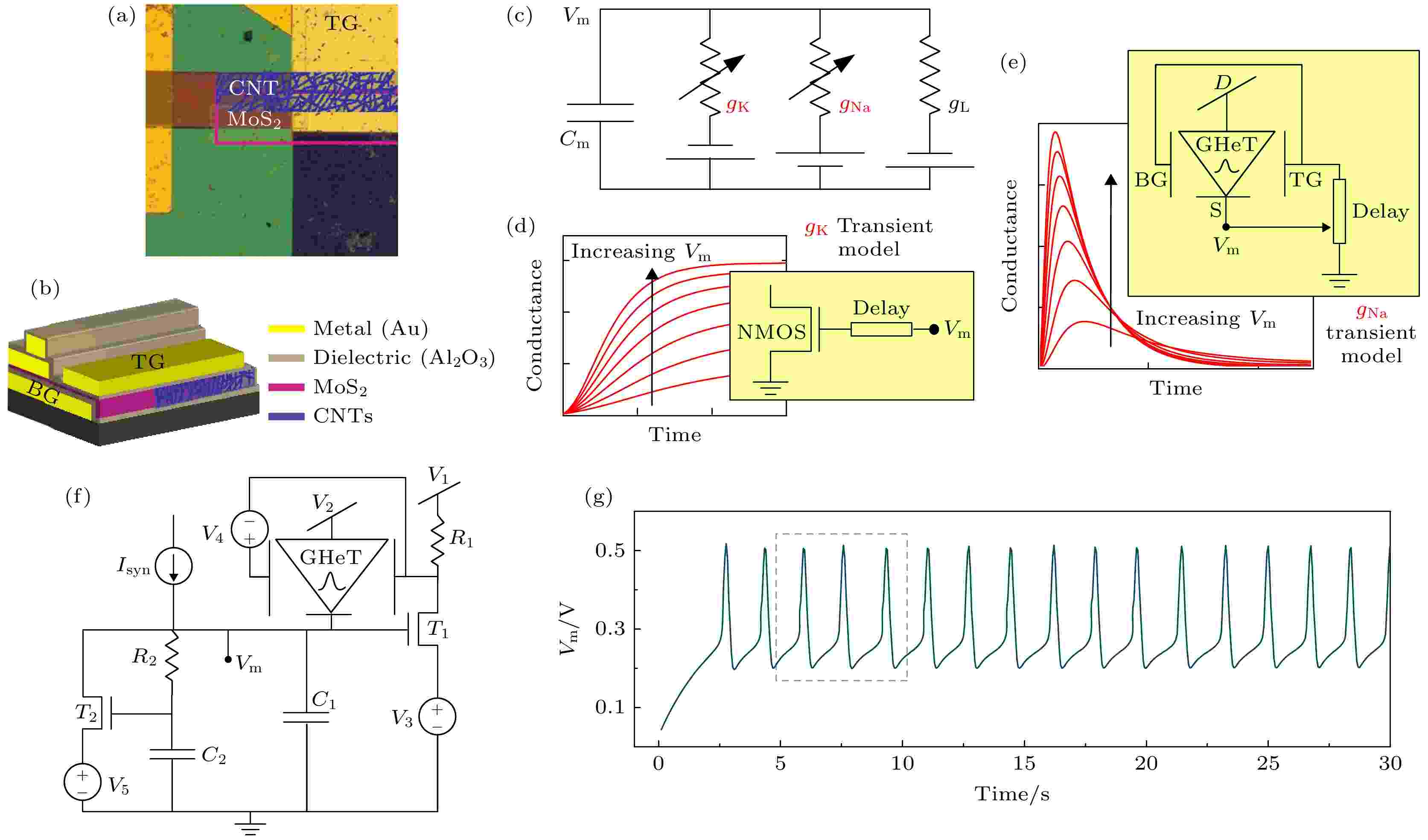 Research progress of neuromorphic devices based on two-dimensional 