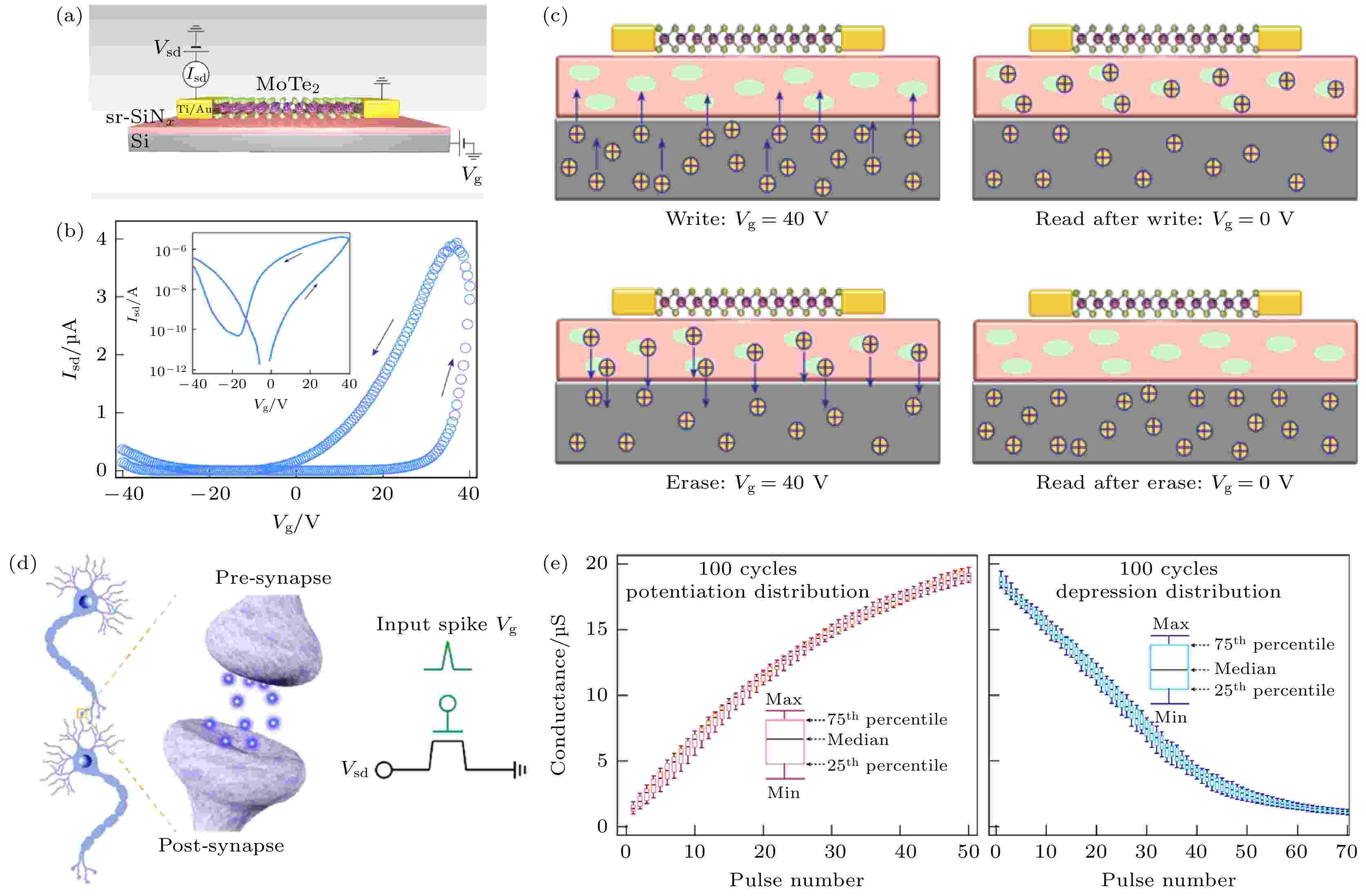 Research Progress Of Neuromorphic Devices Based On Two-dimensional ...