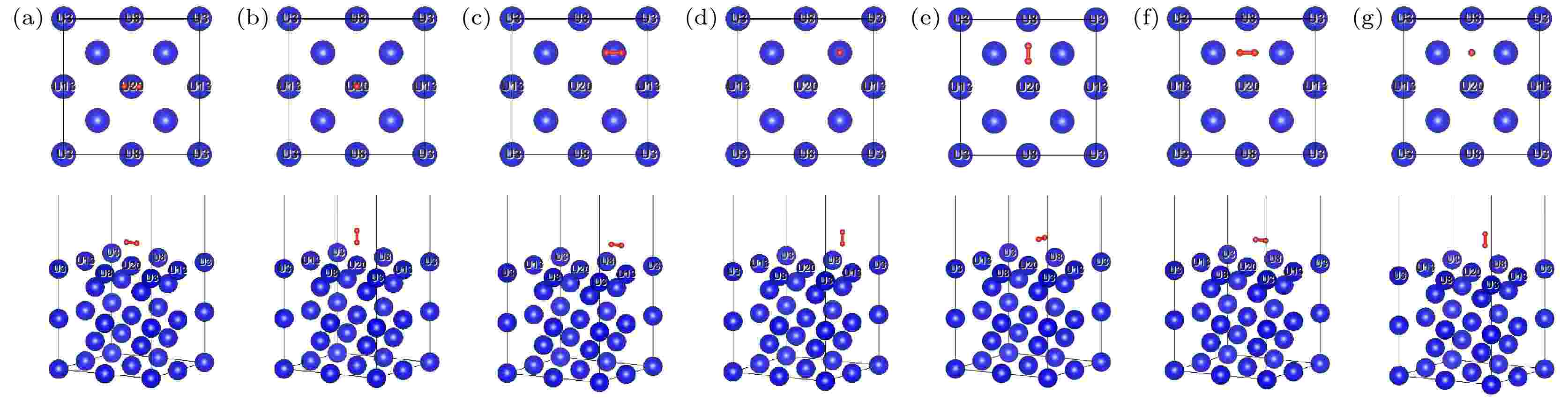 かおる First principles study of hydrogen adsorption and