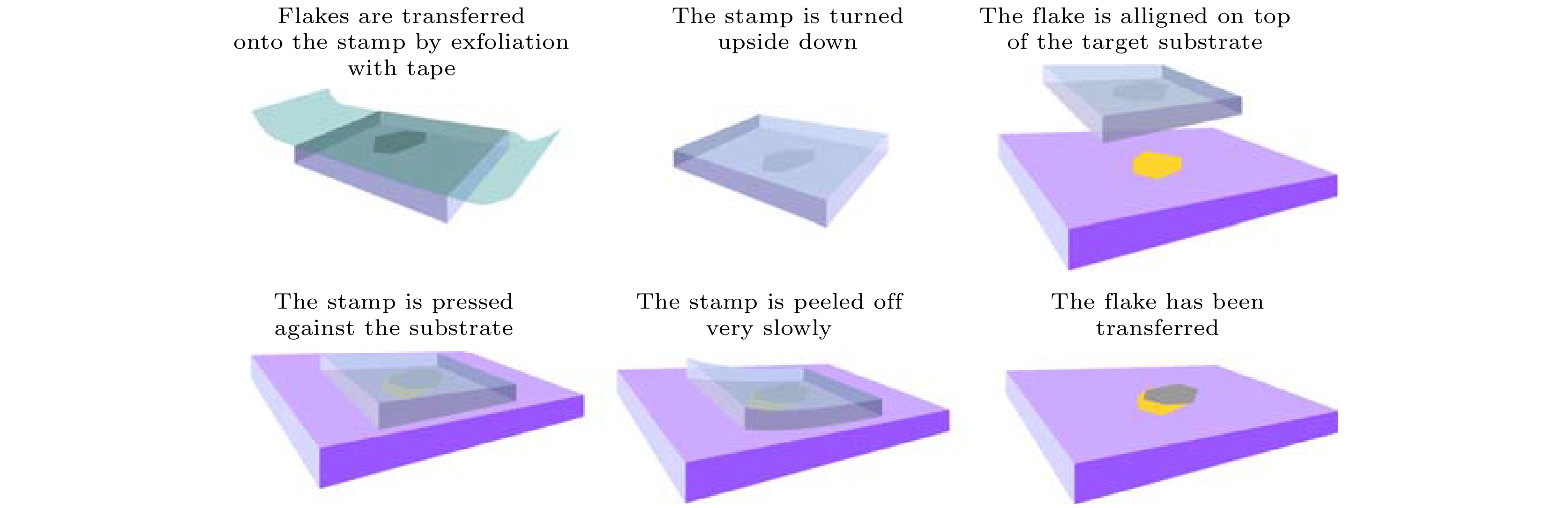 The Fabrication And Physical Properties Of Two Dimensional Van Der Waals Heterostructures