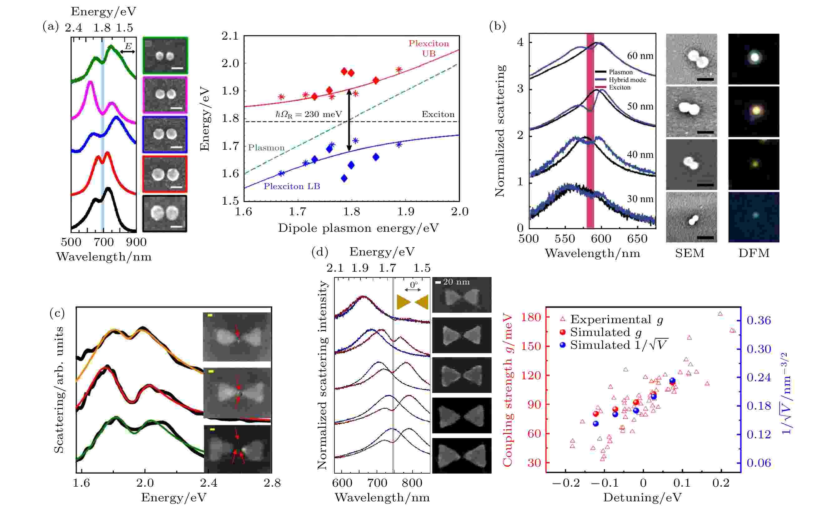 Strong coupling of single plasmonic nanoparticles and
