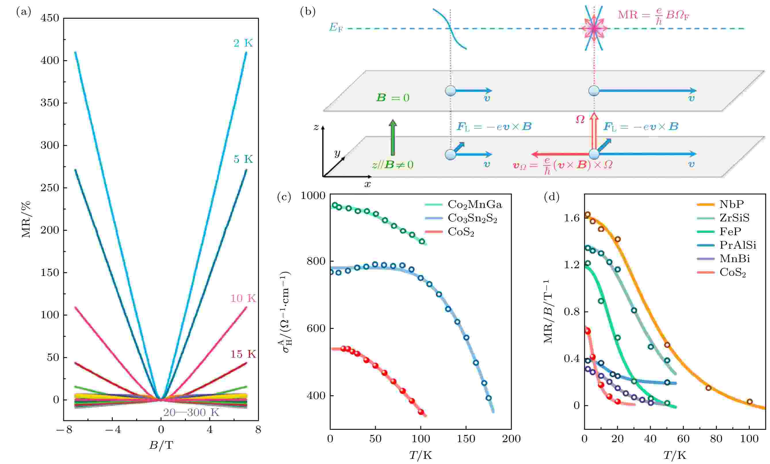 Berry curvature induced unconventional electronic transport