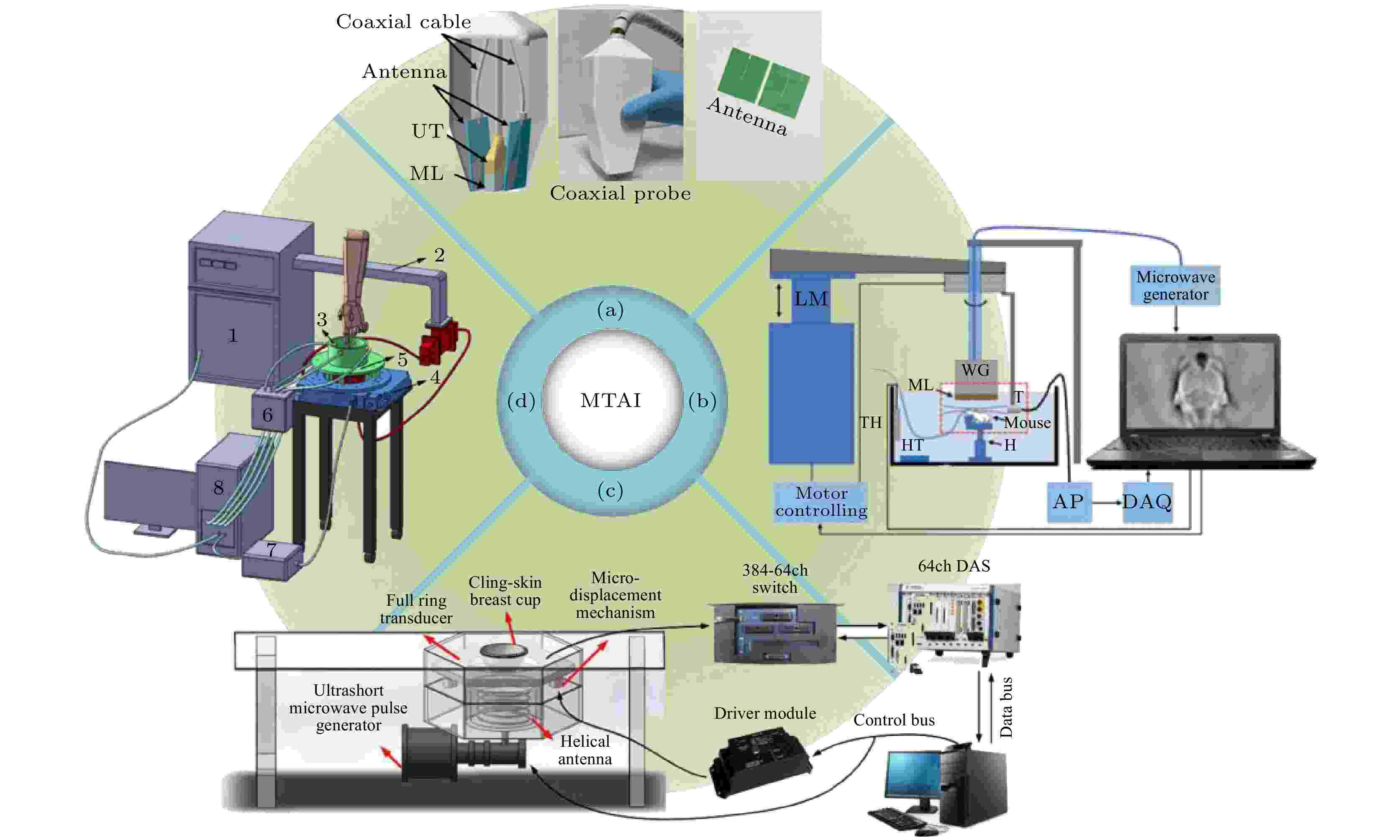 Biomedical microwave-induced thermoacoustic imaging