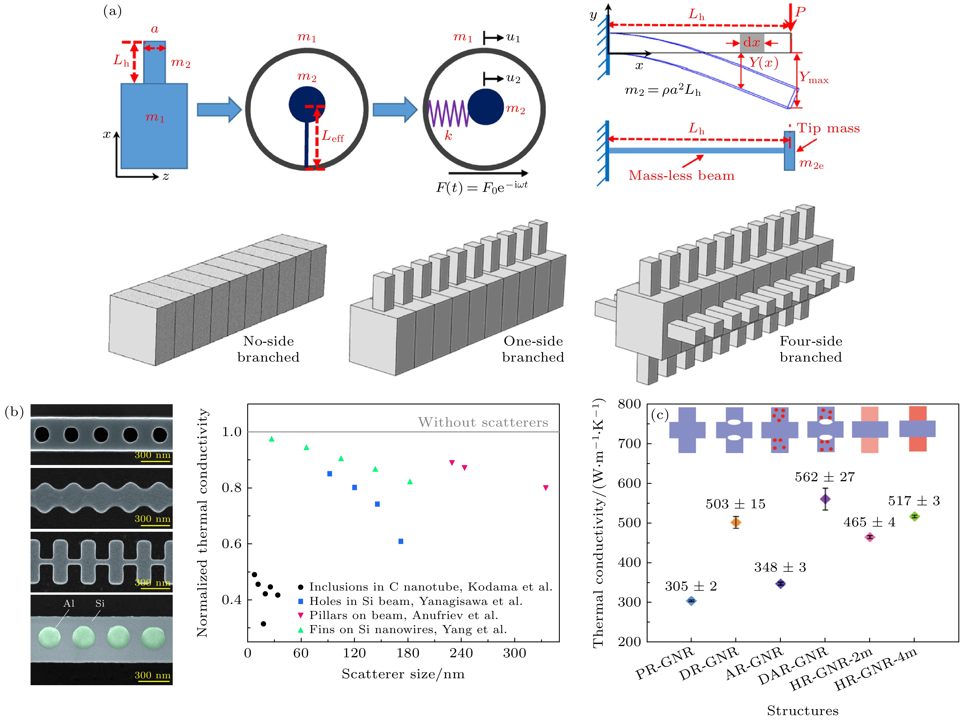 Phononic thermal conduction and thermal regulation in low