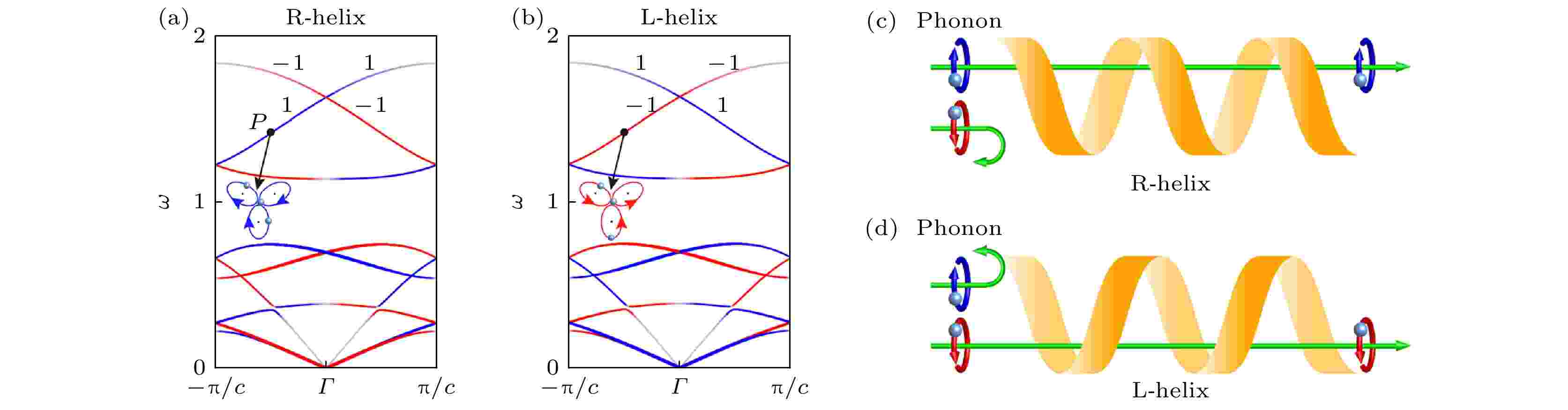 Phononic thermal conduction and thermal regulation in low