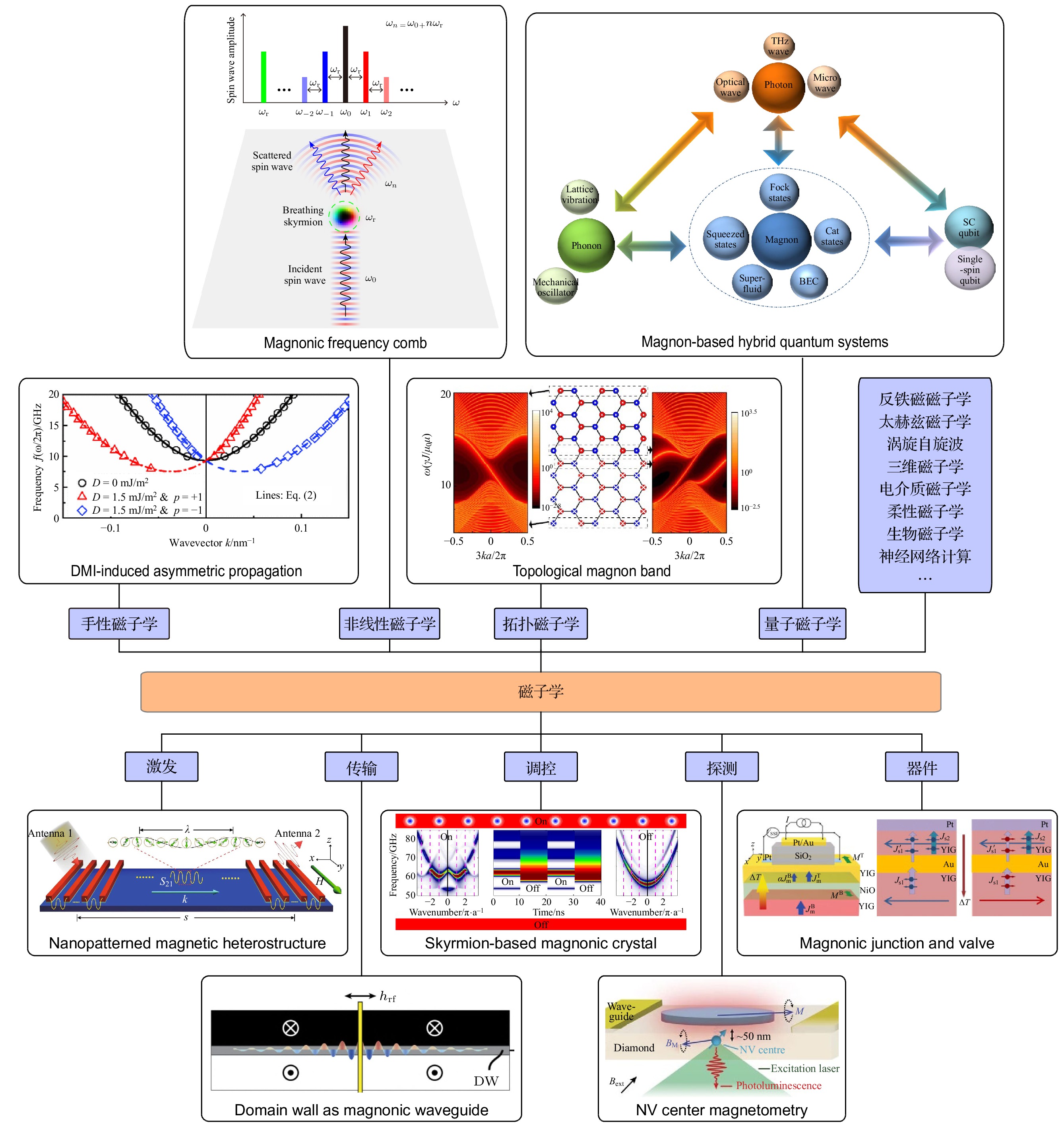 Topological states and quantum effects in magnonics