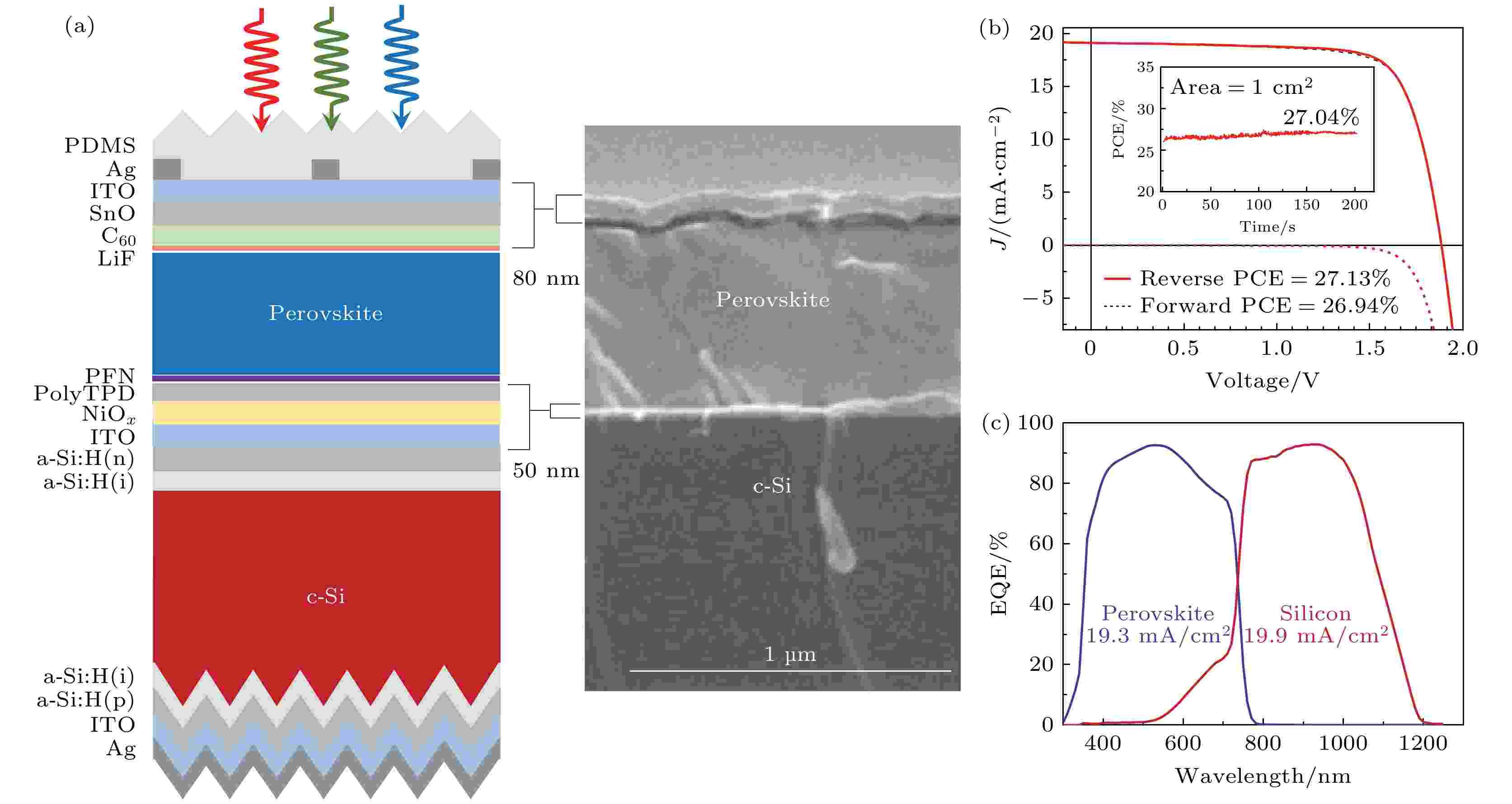 Research progress of perovskite/crystalline silicon tandem
