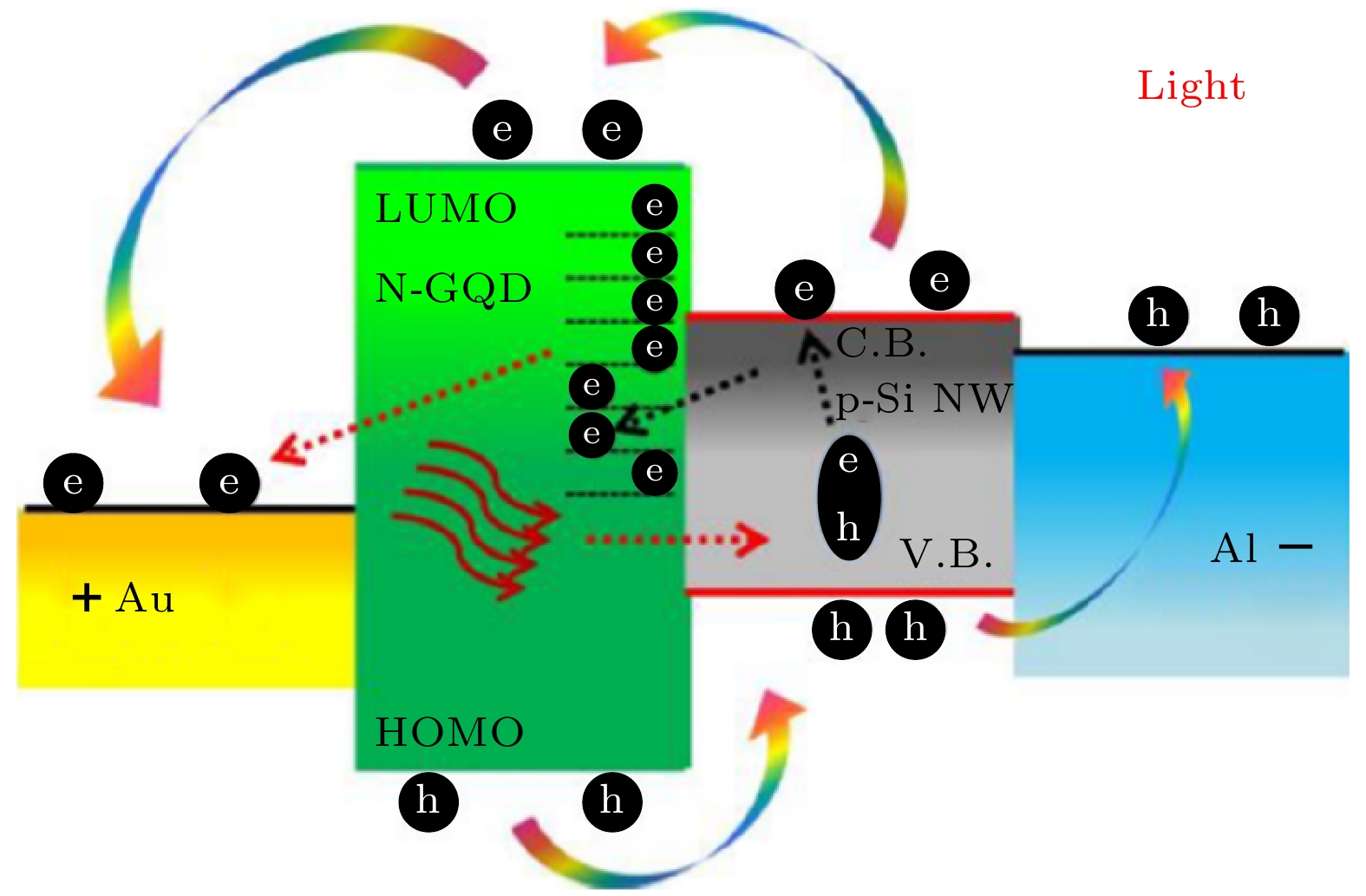 Research progress of silicon nanowires array photodetectors