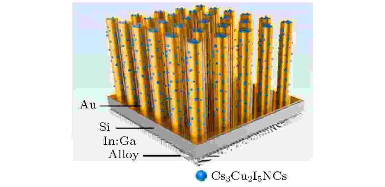 Research progress of silicon nanowires array photodetectors