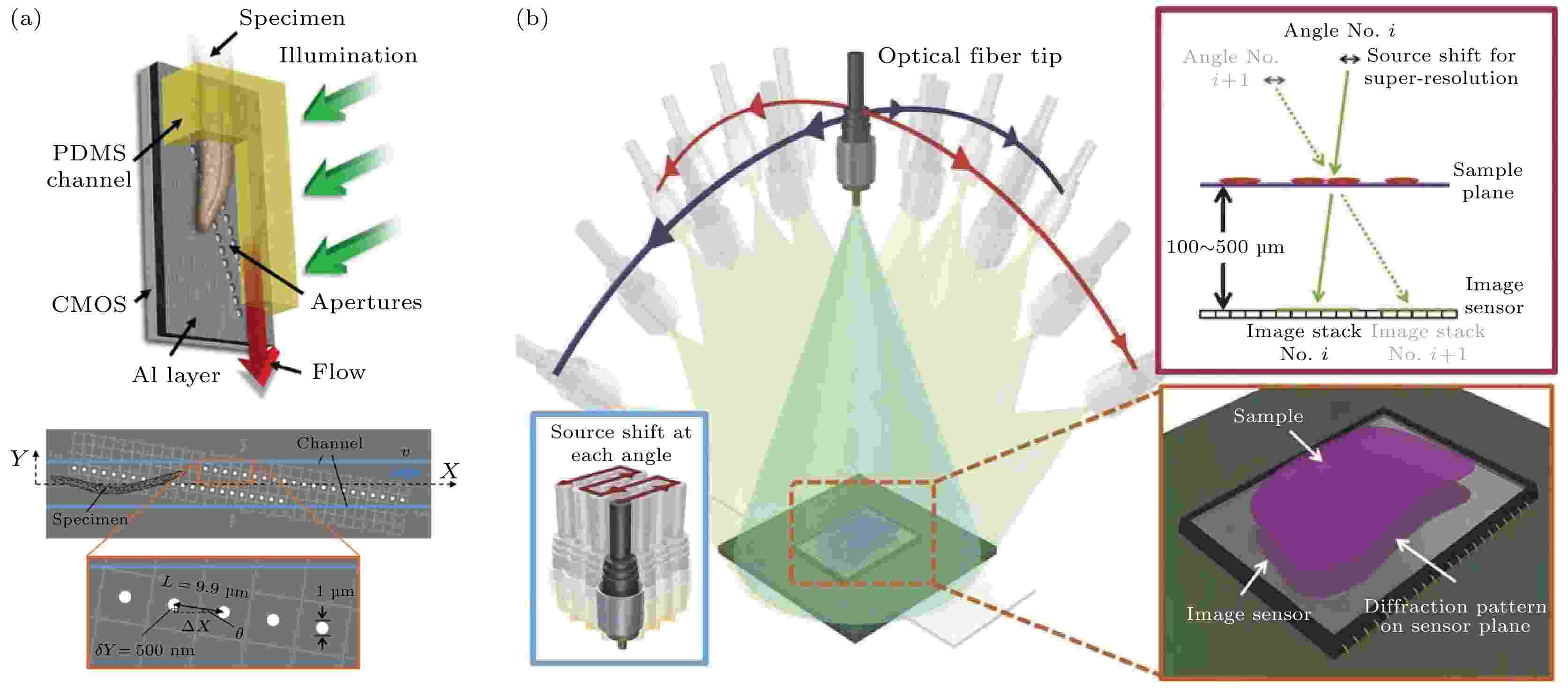 Research advances in simple and compact optical imaging techniques