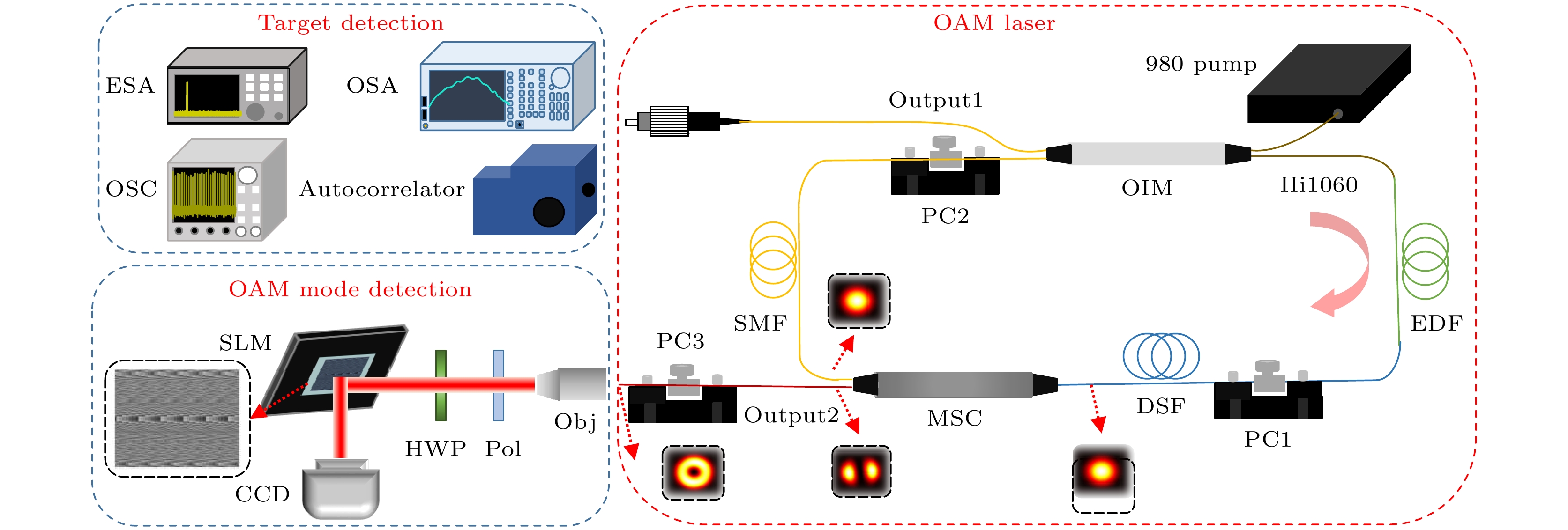 Orbital angular momentum mode femtosecond fiber laser with over