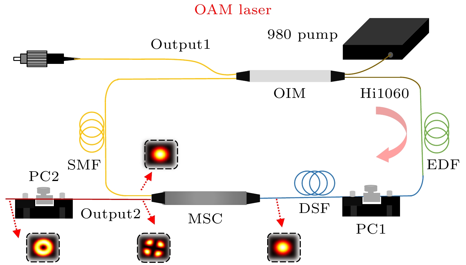Orbital angular momentum mode femtosecond fiber laser with over