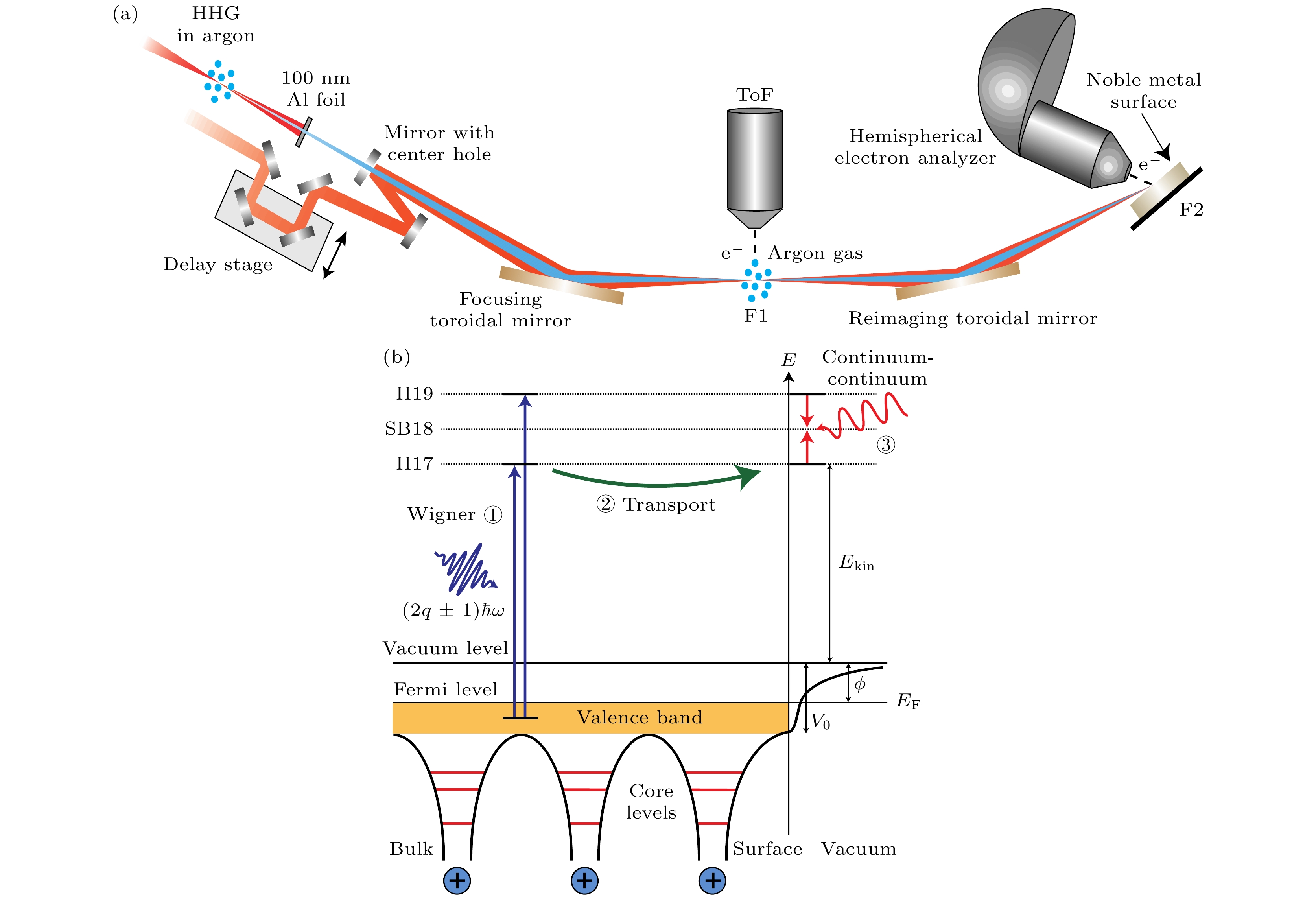 Ultrafast spin dynamics: From femtosecond magnetism to attosecond