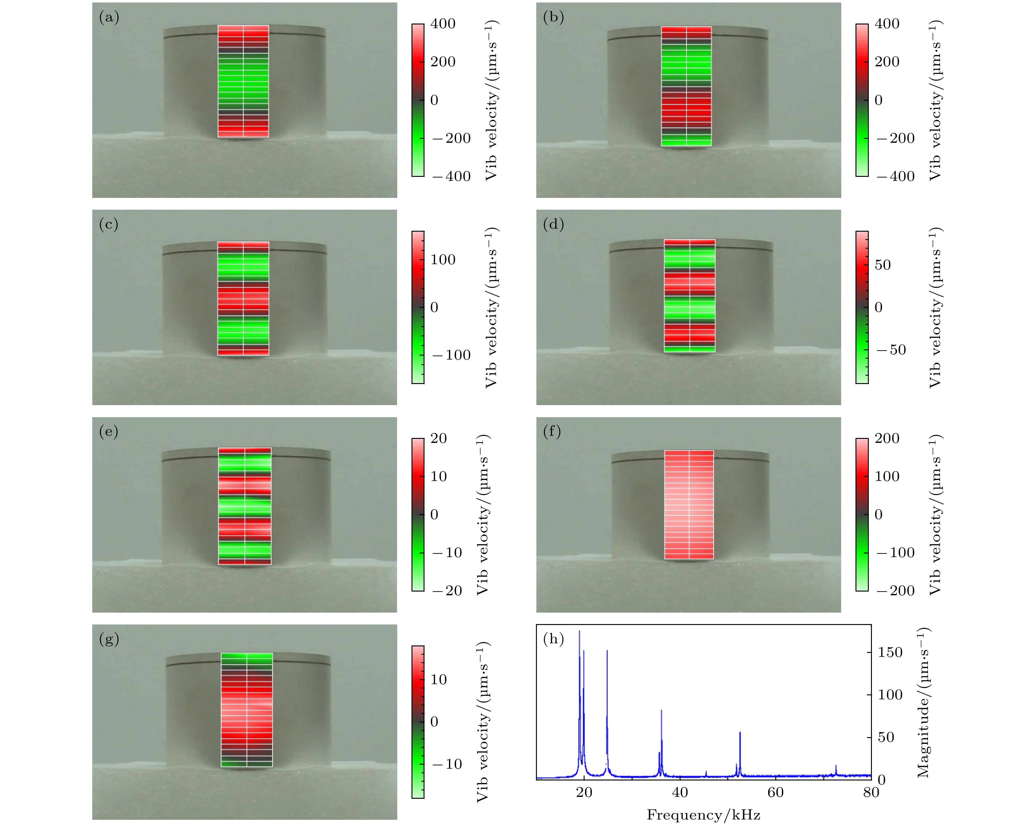 Study of radial bending vibration and excitation of piezoelectric