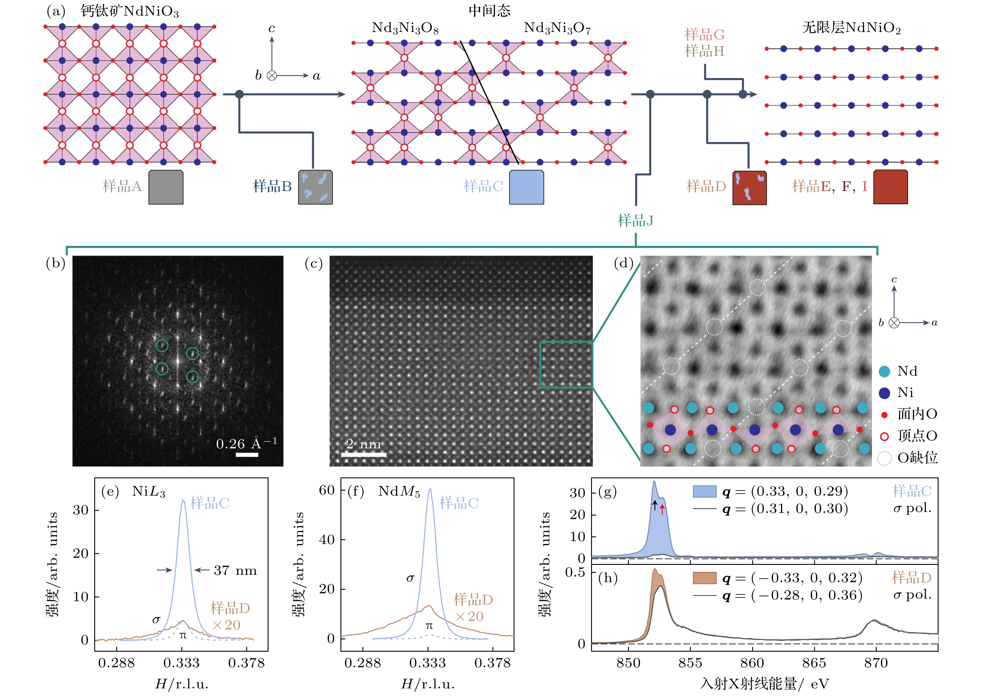 Experimental research progress of charge order of nickelate based
