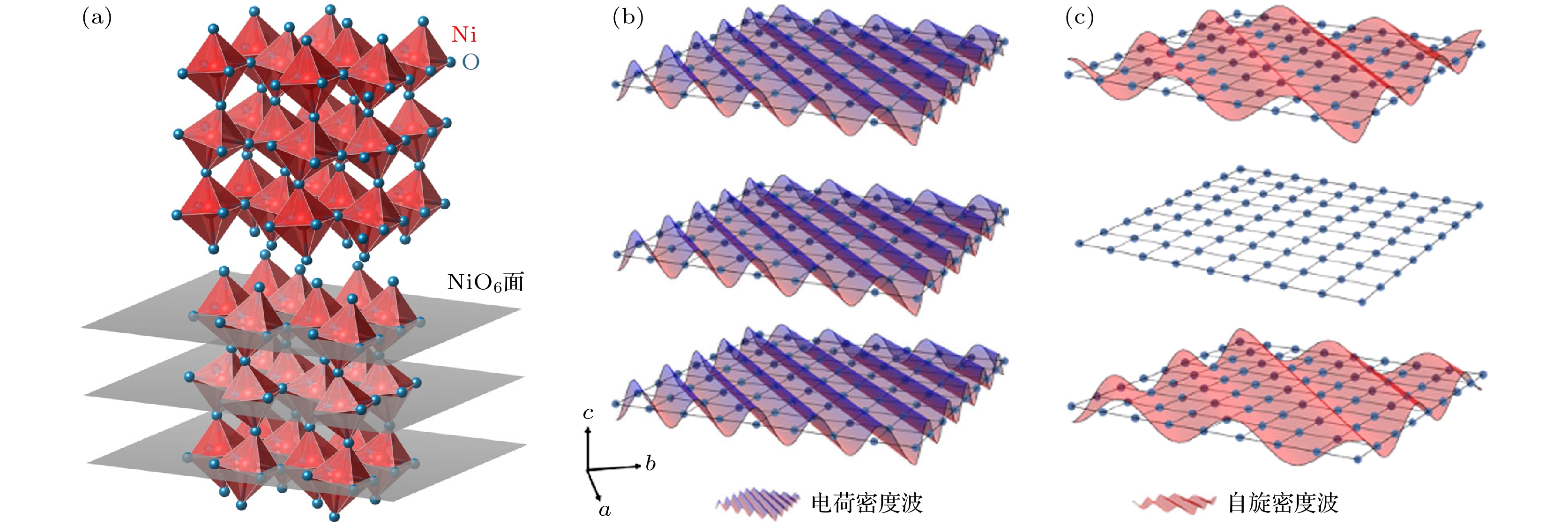 Experimental research progress of charge order of nickelate based