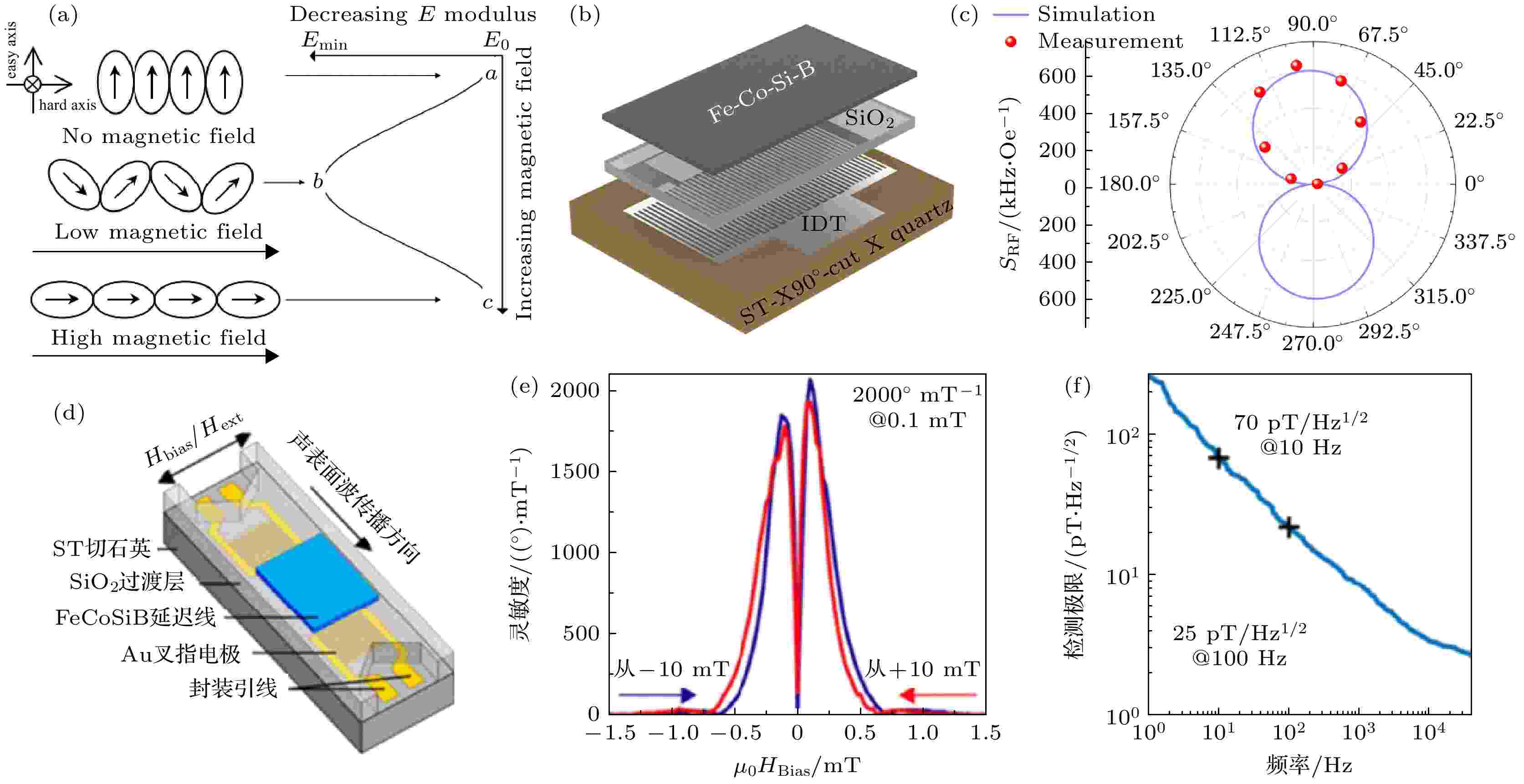 Frontiers | Determining quantum topological semion code