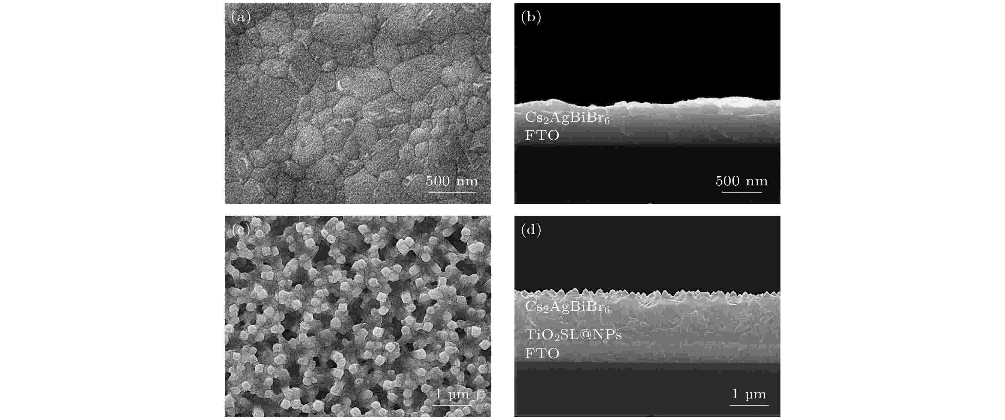 Multi-band response Cs2AgBiBr6 double perovskite