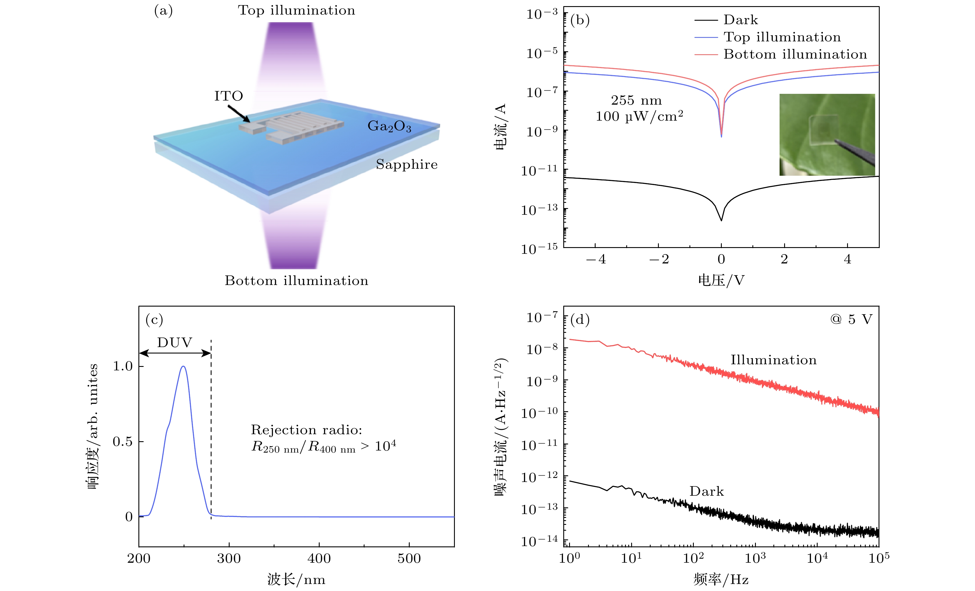 Construction of a fully transparent β-Ga2O3 multi-mode solar-blind