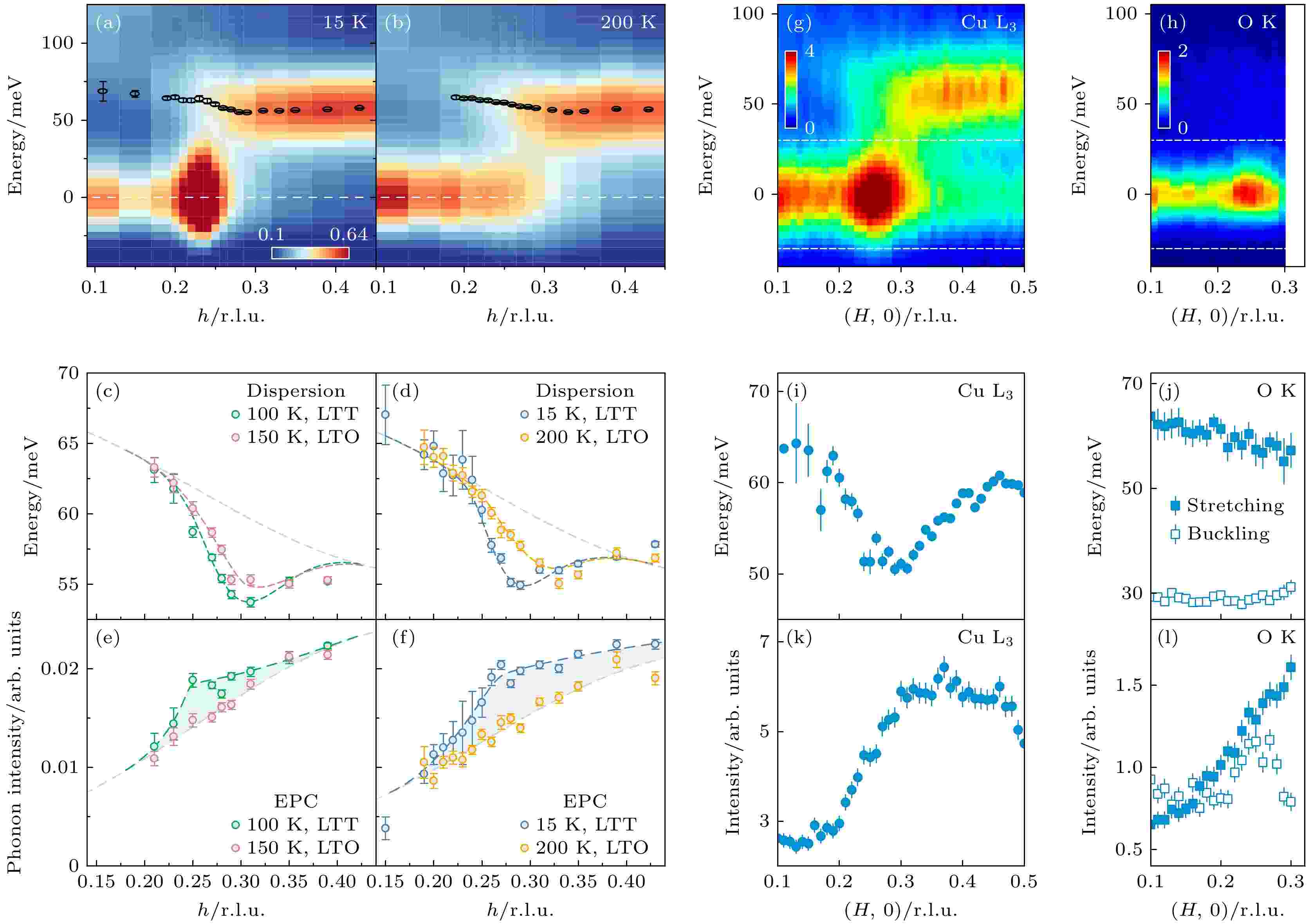『3年保証』 Research charge of scattering X-ray resonant of progress カトラリー(スプーン等)