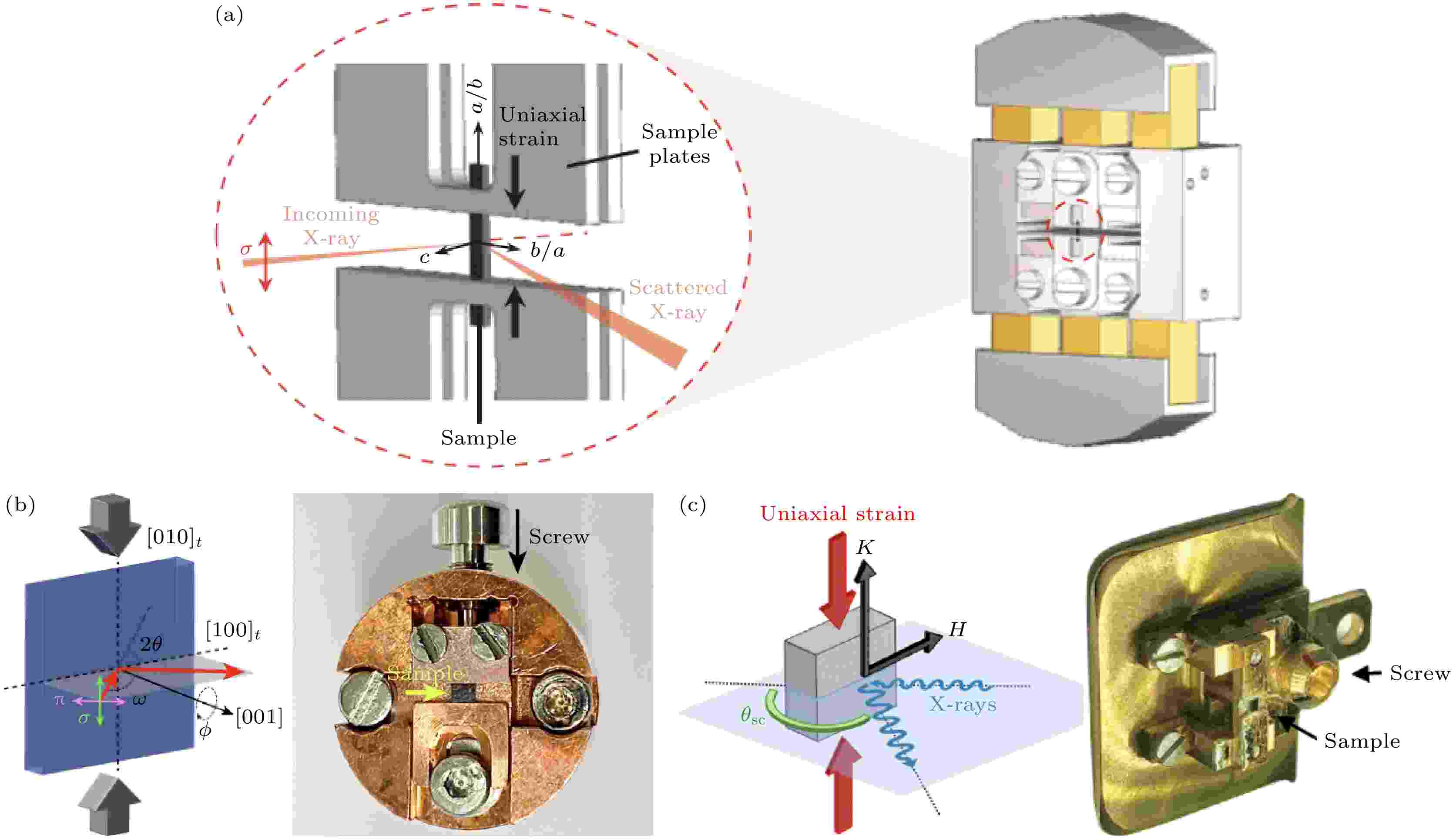 Research progress of resonant X-ray scattering of charge